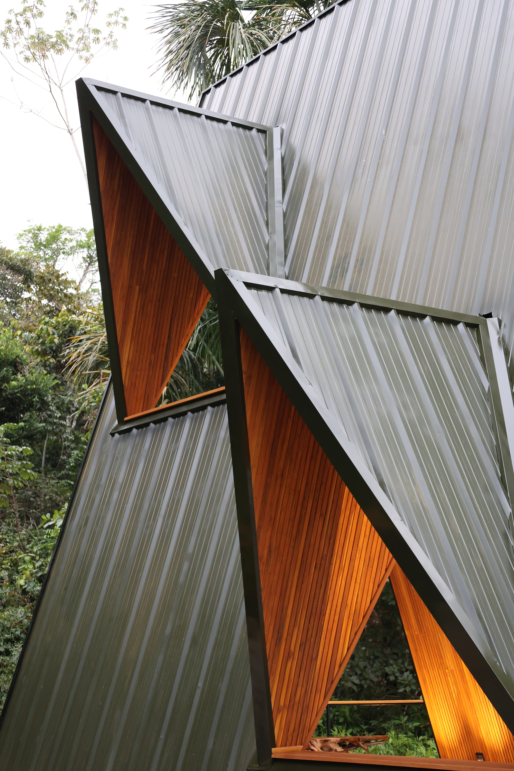 Close-up of corrugated metal roof planes meeting warm timber soffits, with rainforest foliage behind under an overcast sky