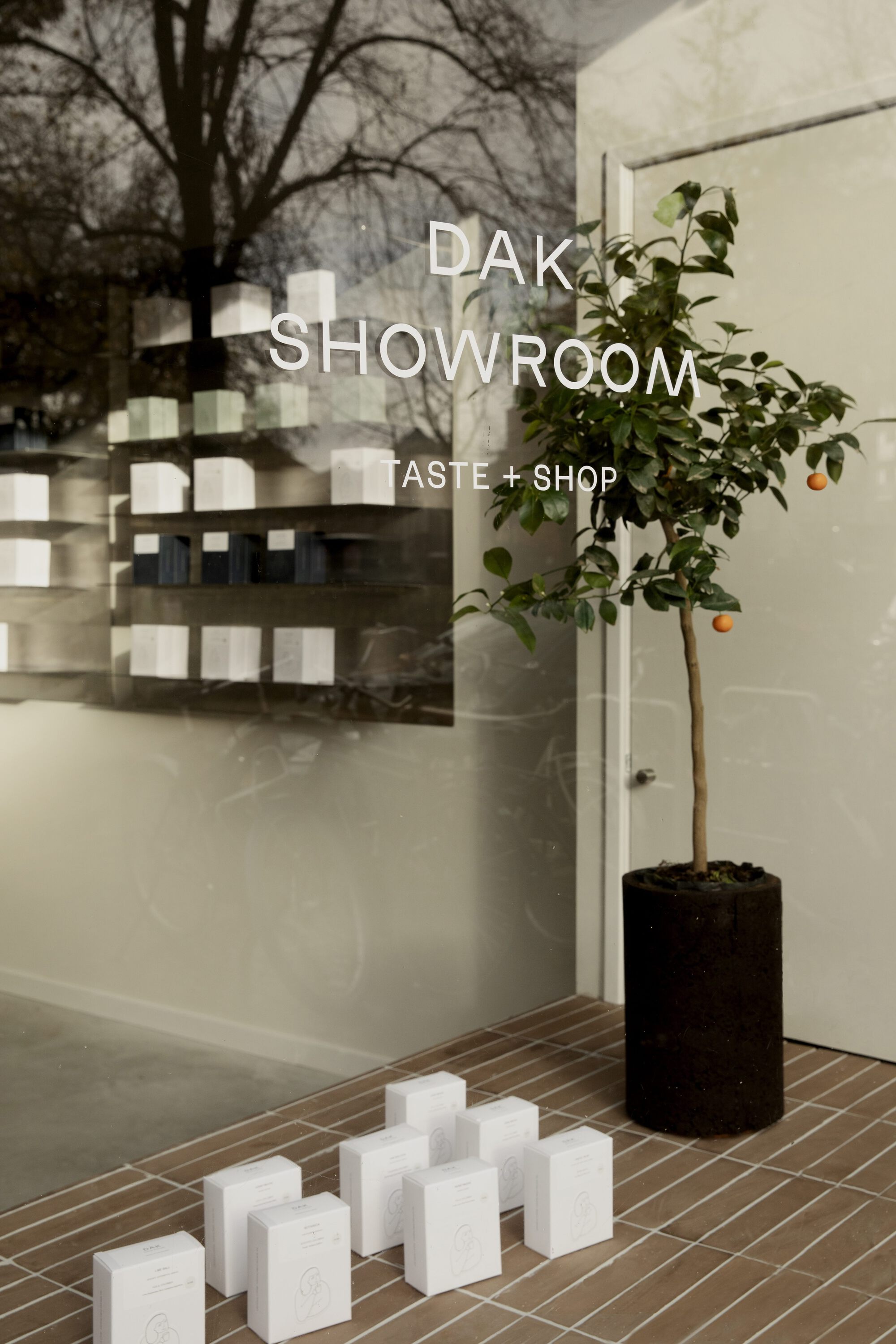 Shop window with white lettering, shelved boxes reflected in the glass, a potted citrus tree and boxes stacked on brown tile in soft daylight