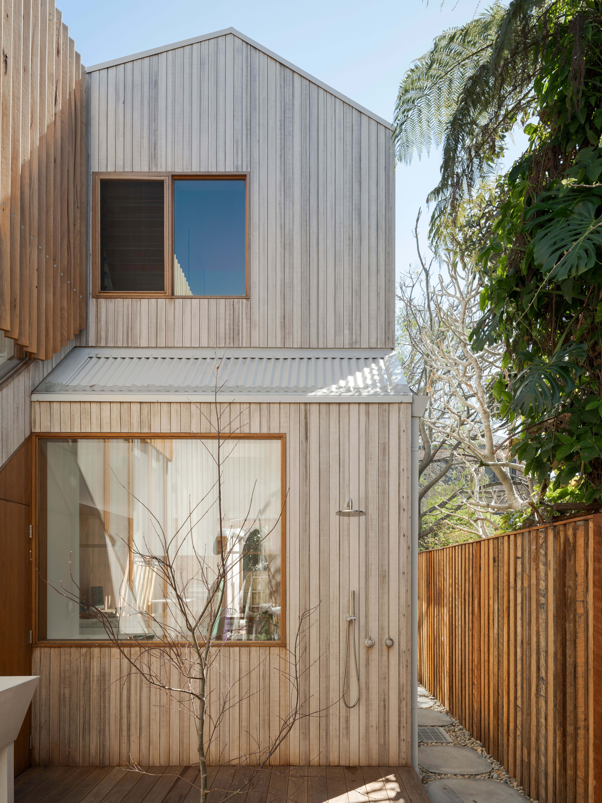 Two-storey timber-clad rear volume with a corrugated roof, outdoor shower and a bare sapling in front of a tall fern and monstera
