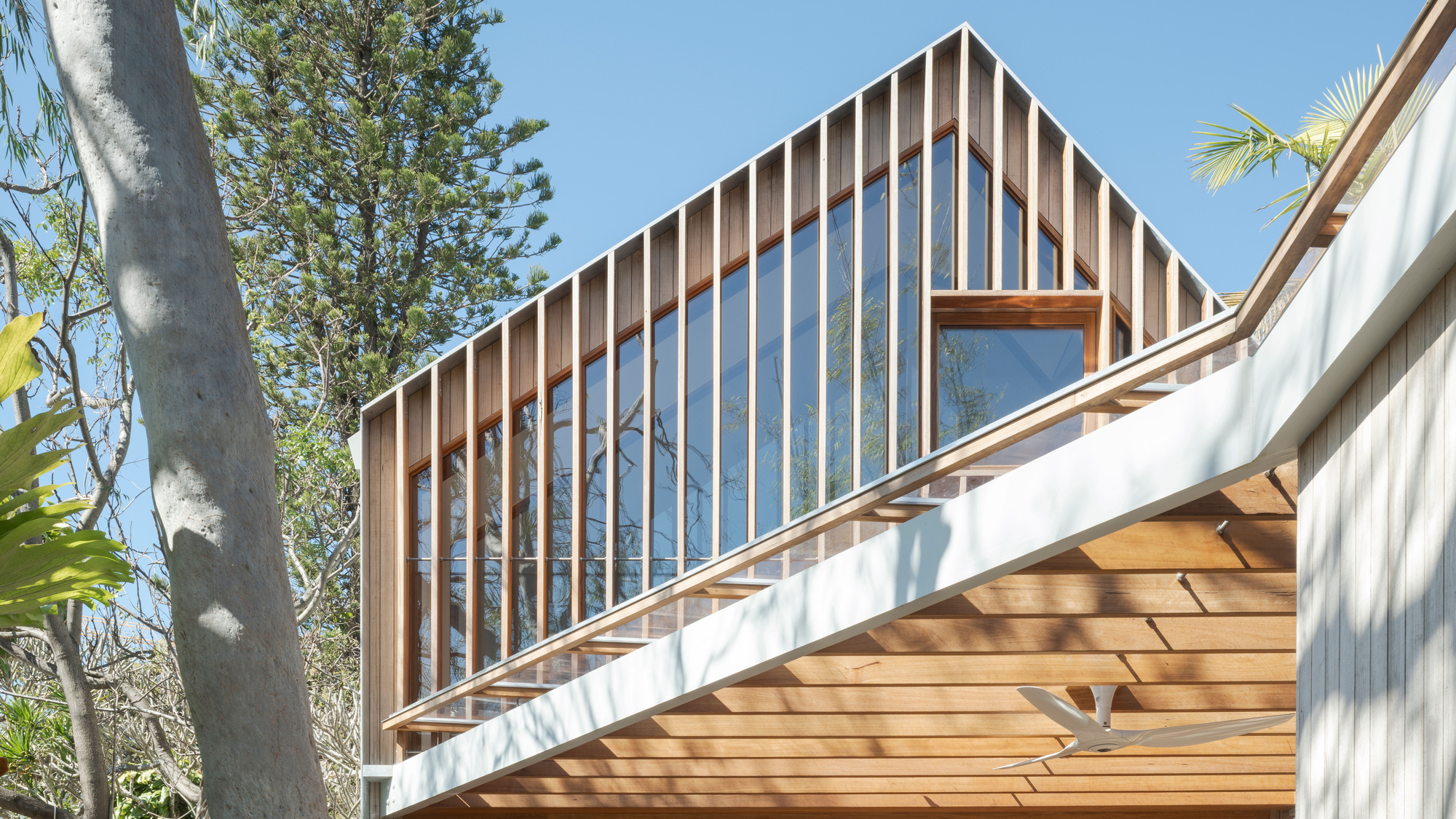 Gabled glazed upper volume framed by vertical timber fins, seen past a white roof edge and a eucalyptus trunk against blue sky