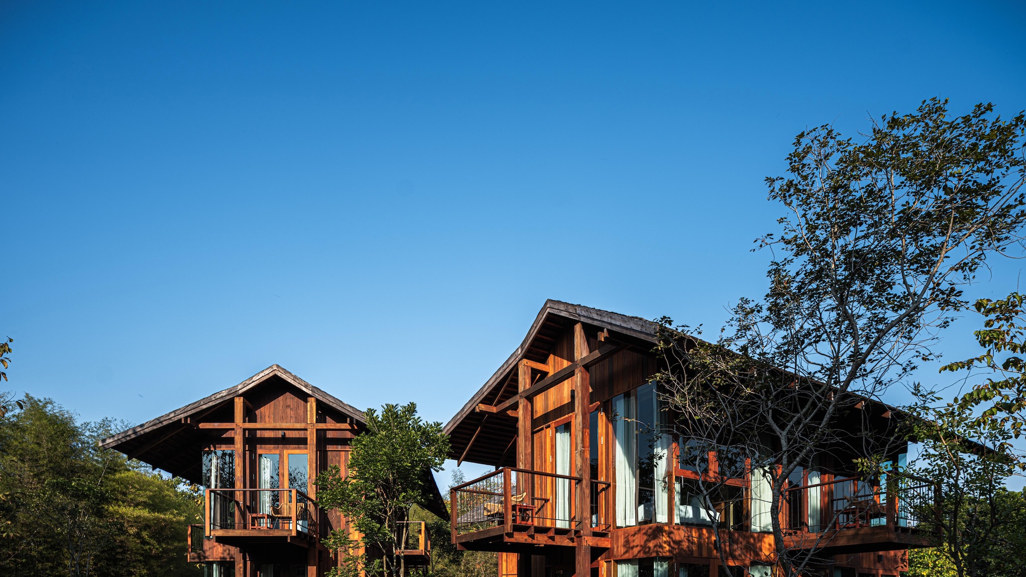 Two timber-clad pavilions with pitched shingle roofs and balconies rising above trees under a clear blue sky