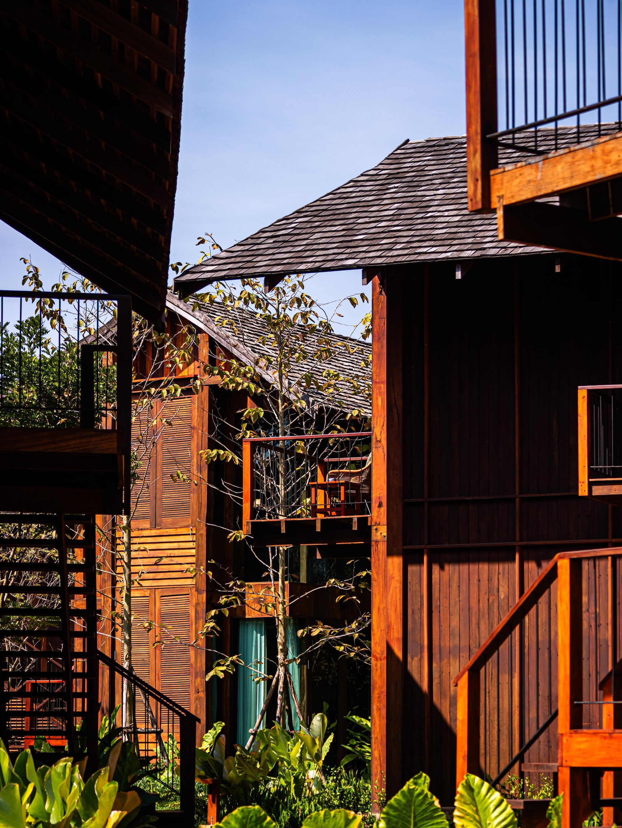 Gap between wood-clad cabins showing shingle roofs, louvered shutters and a stair railing, with leafy plants in low sun