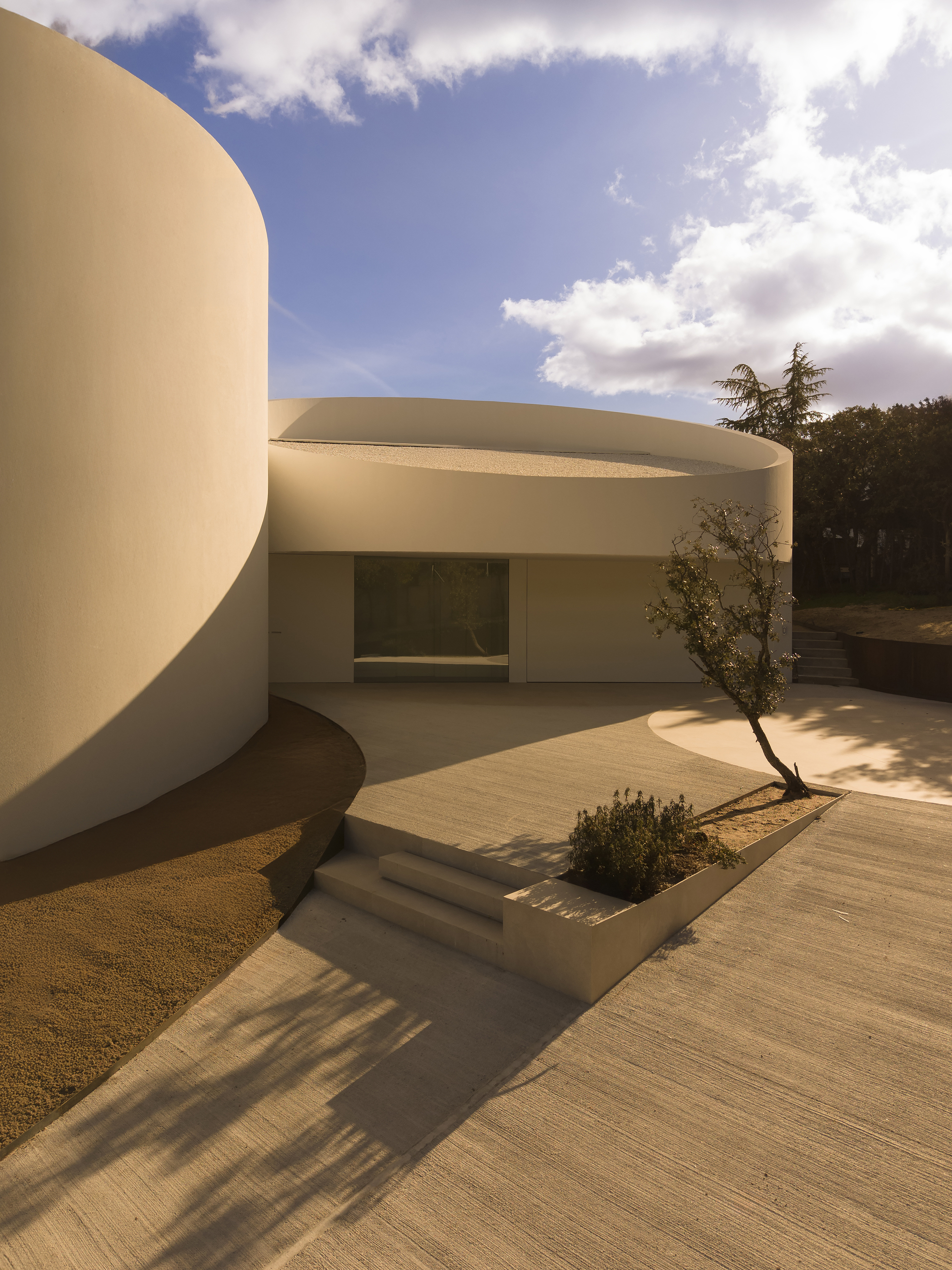 Entrance courtyard with a curved white wall, concrete steps and a planted bed holding a small olive tree under moving clouds