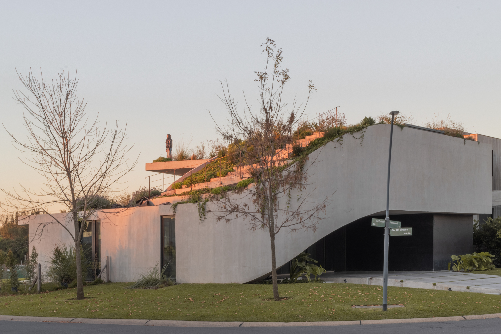 Curved concrete wall sweeping up to a planted roof terrace with stepped paths, seen at dusk behind bare trees