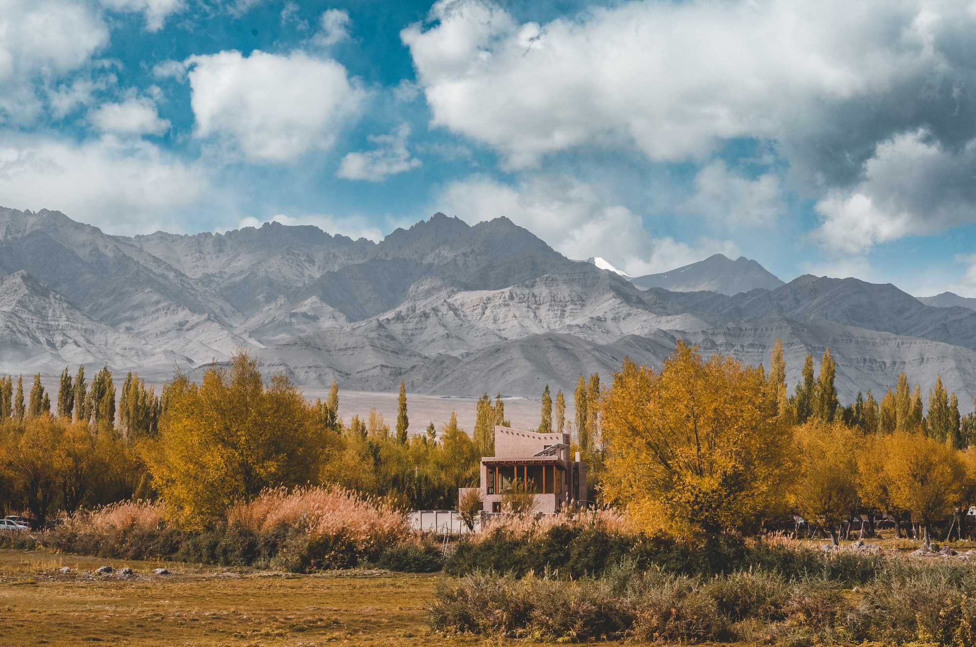 Distant house among yellow autumn poplars and willows, with bare grey mountains and bright clouds behind
