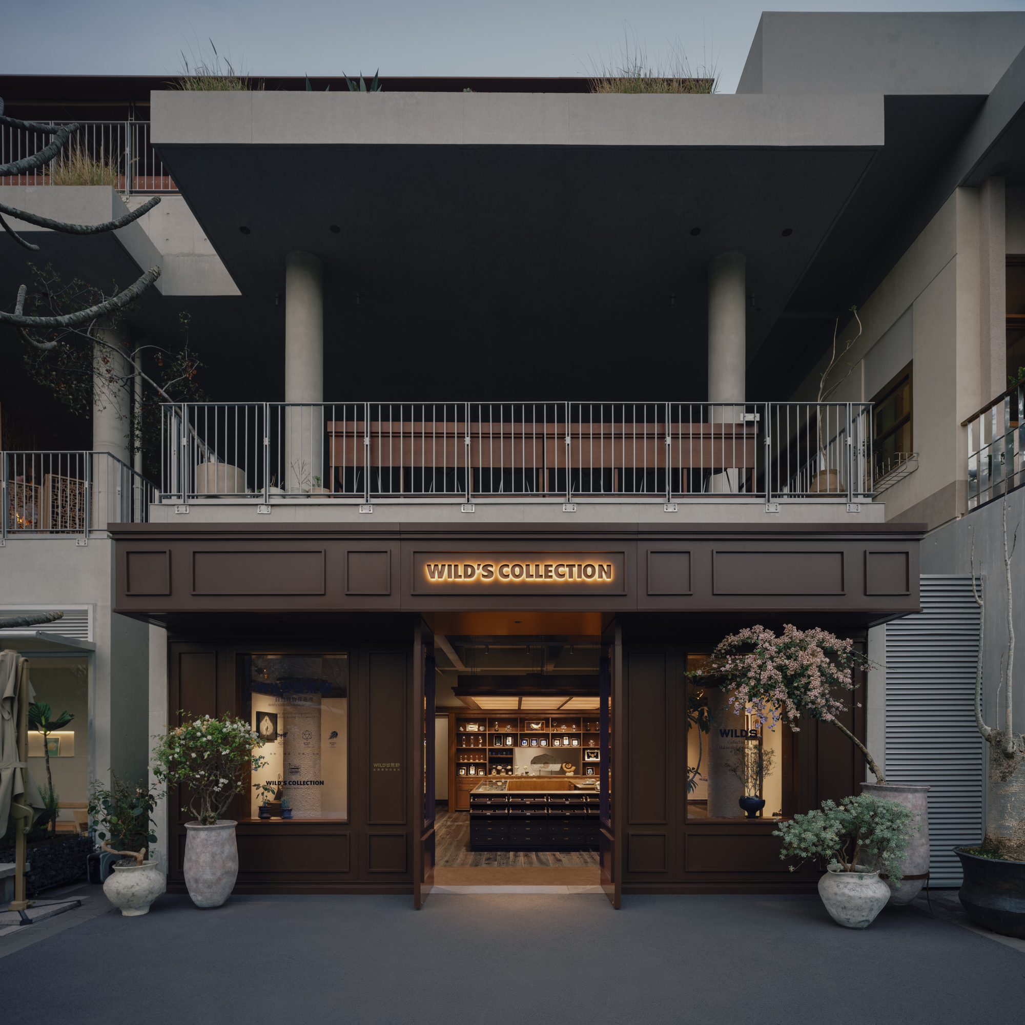 Dark timber shopfront with illuminated sign and open doors, framed by potted flowering trees at dusk