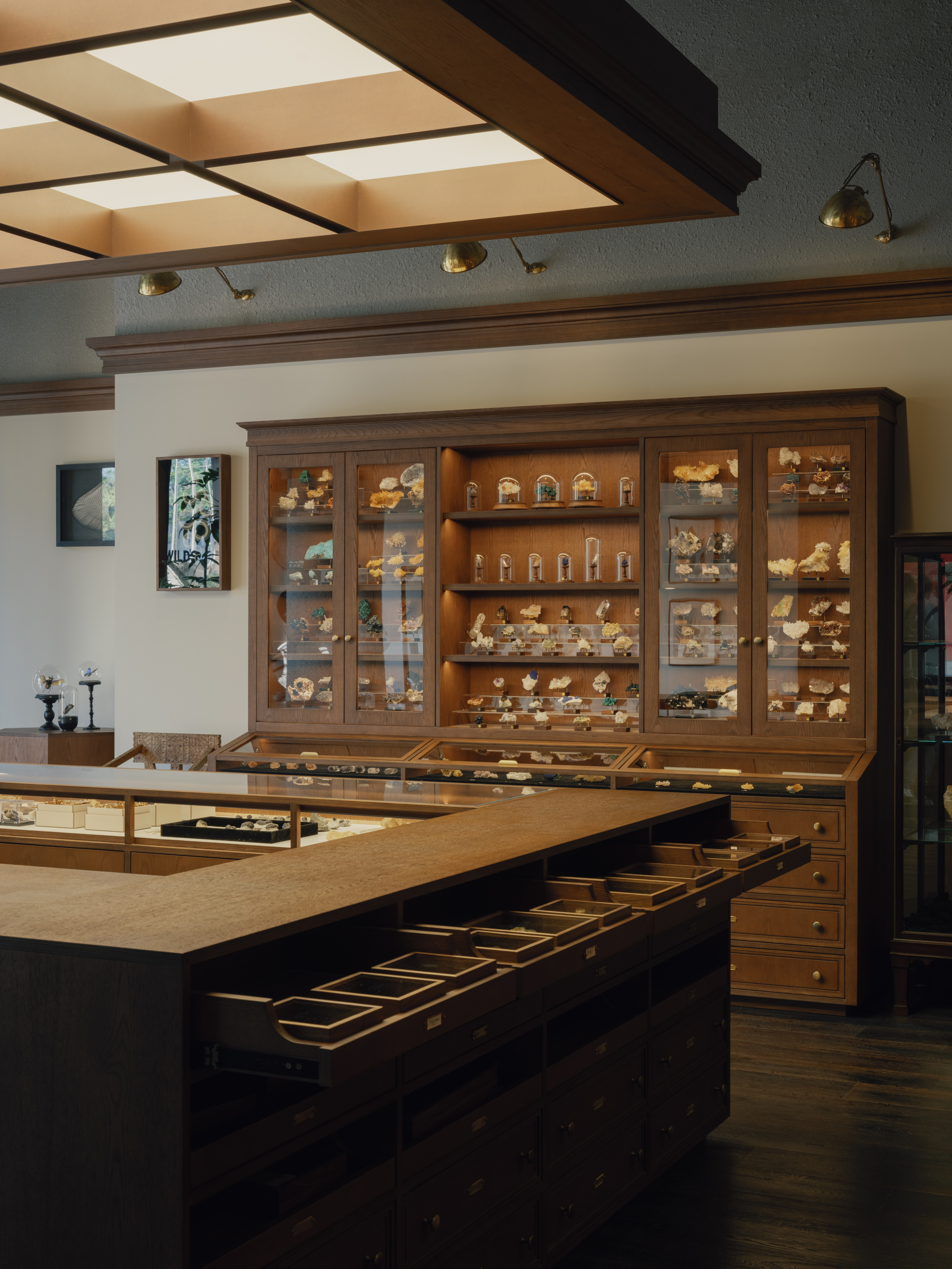 Retail Interiors