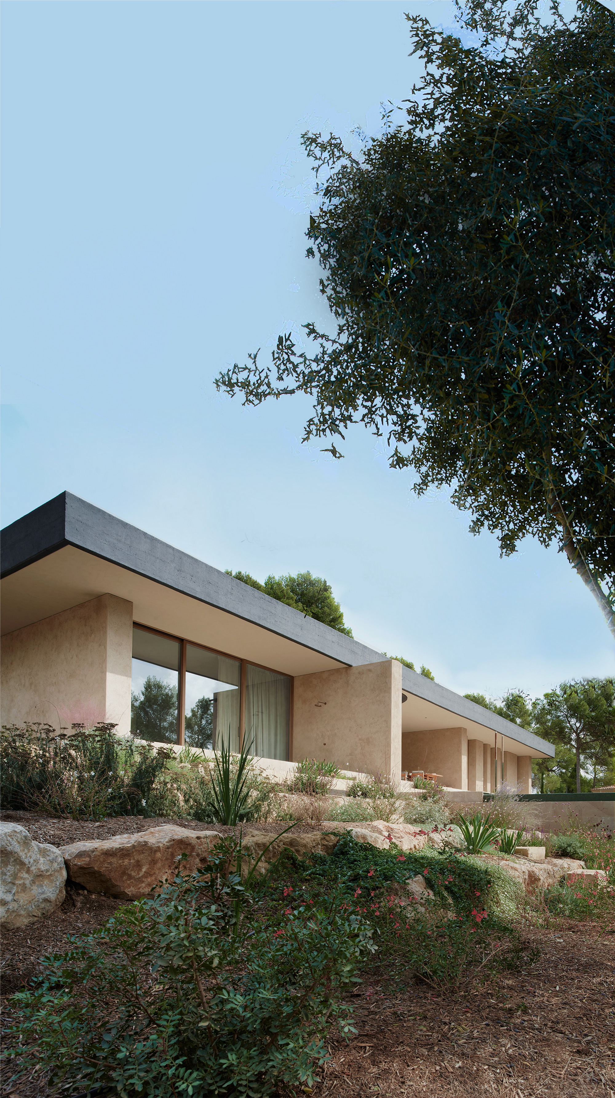 Low angle of the cantilevered roof edge and stone piers above a rocky planted slope, with an olive tree overhead