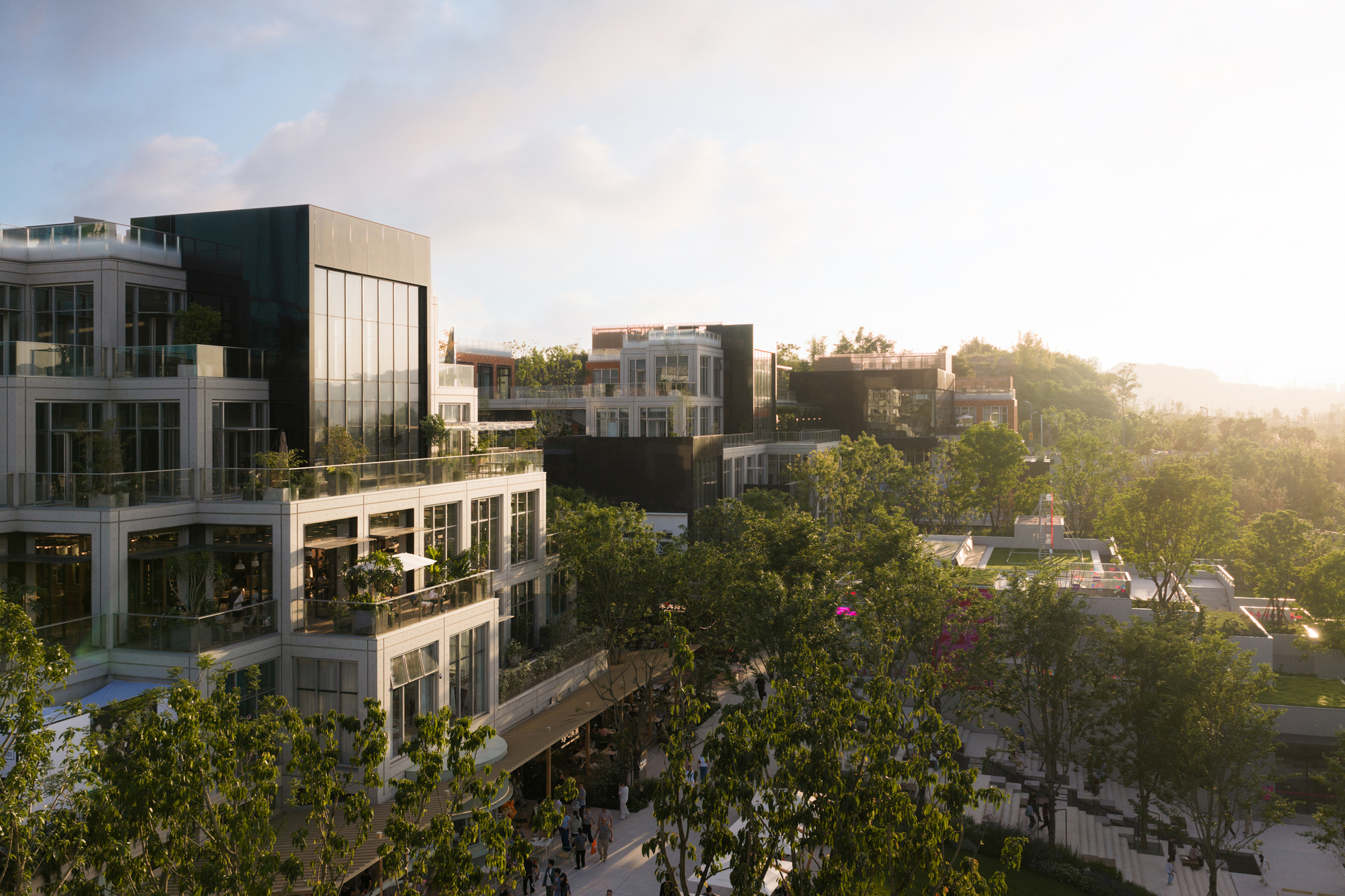 Terraced buildings with dark glass volumes and planted balconies above a tree canopy, lit by low golden evening sun