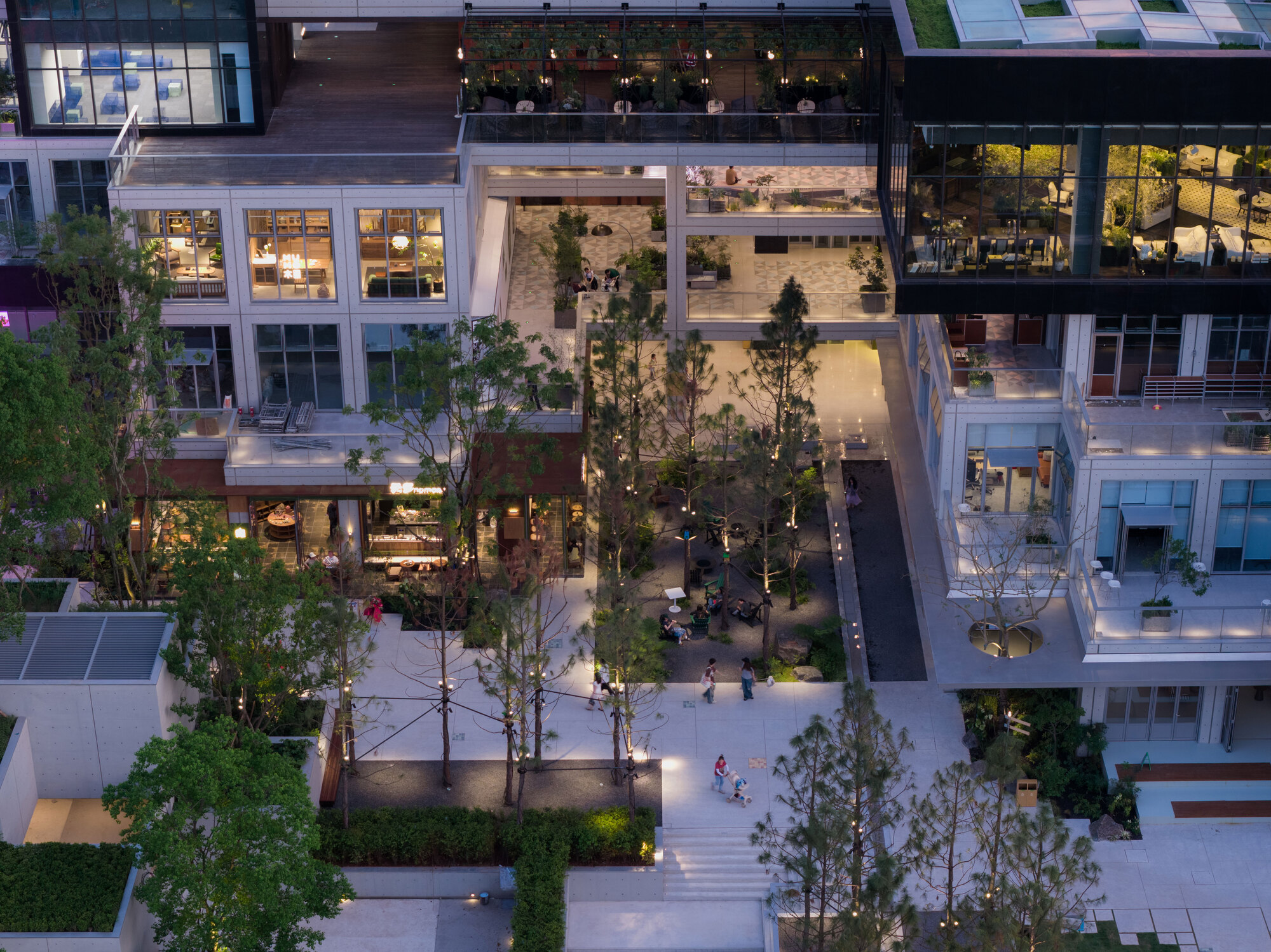 Overhead view of a courtyard with slender trees, lit stair and planted terraces on the surrounding building at dusk