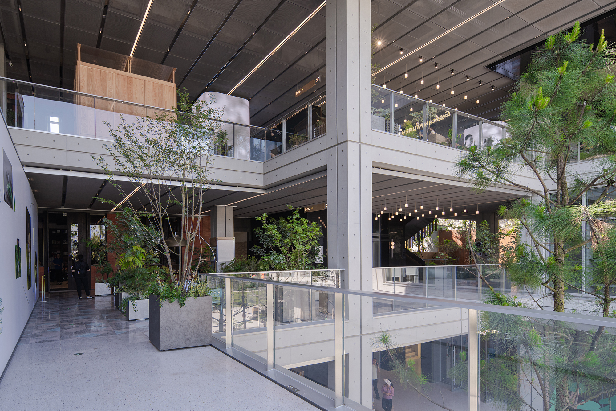 Multi-level atrium with concrete columns, glass balustrades and a planter of small trees, a pine branch crossing the foreground