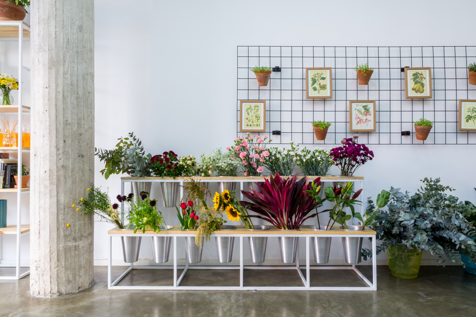 Low steel flower stand with metal buckets of blooms below a black wire grid hung with framed botanical prints and terracotta pots
