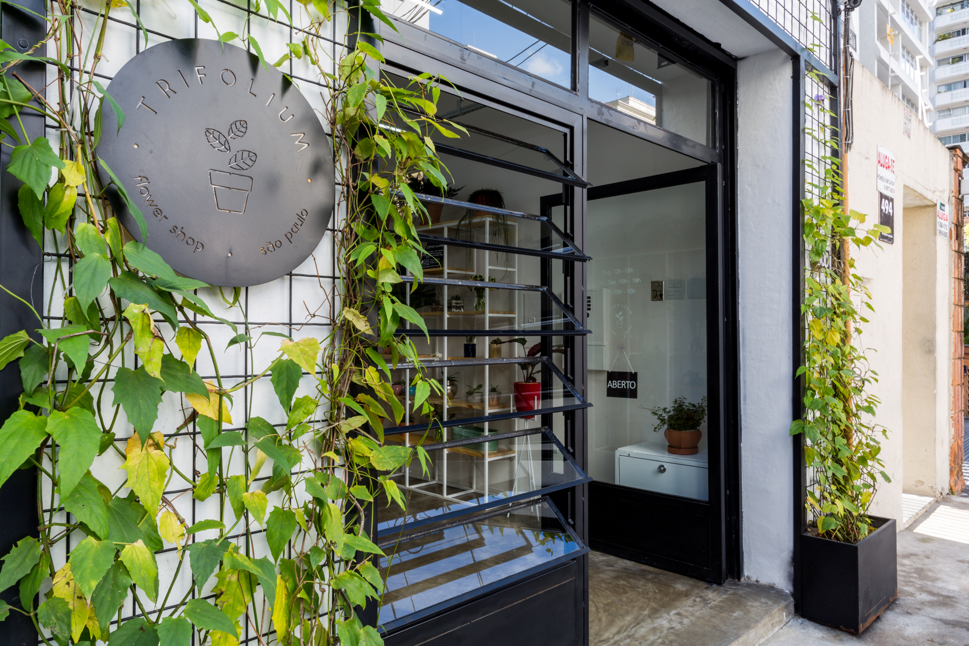 Circular shop sign on a wire trellis wrapped in yellowing vines beside an open louvered window and a planter box in daylight