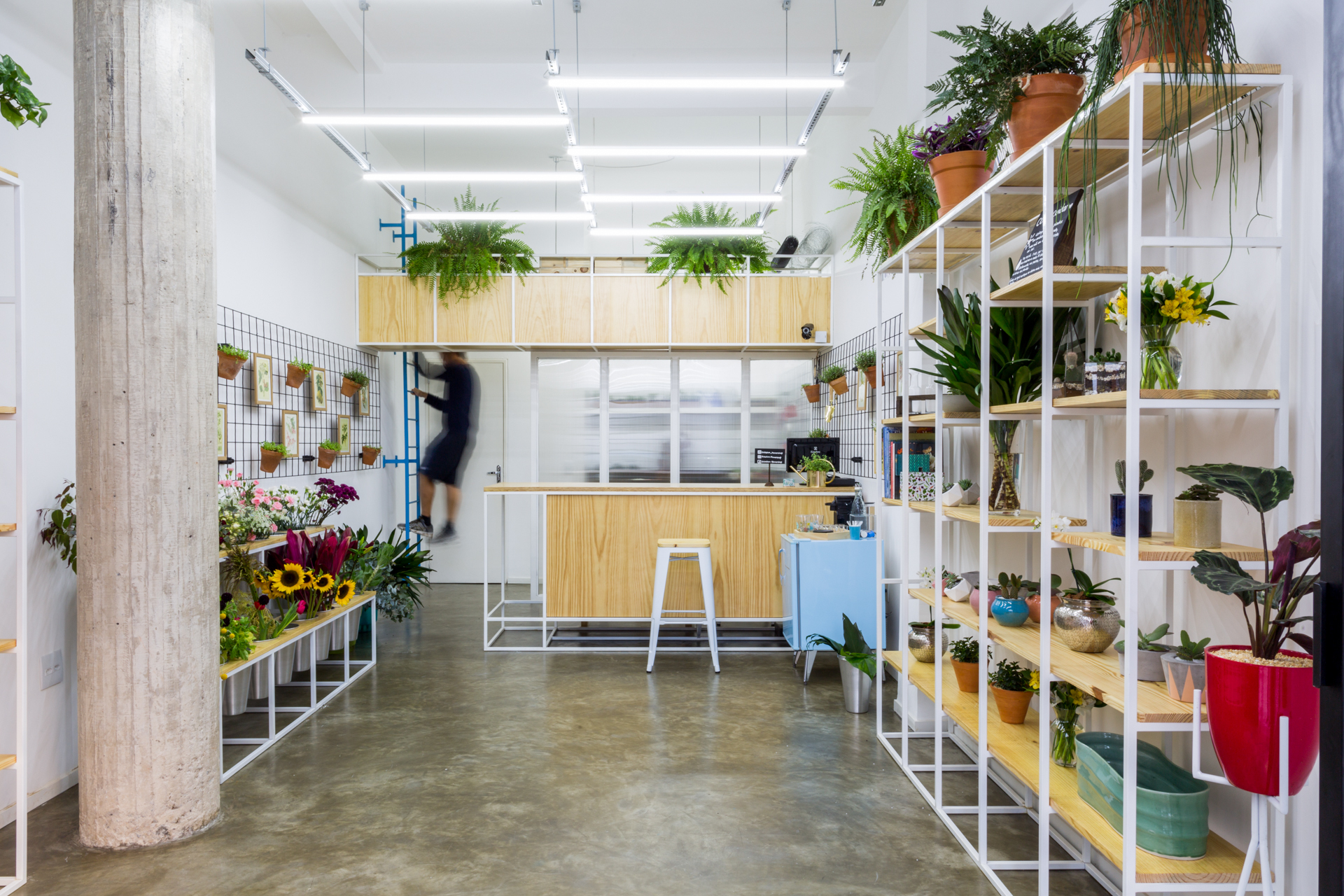 Interior of a plant shop with white metal shelving, timber boards, a concrete column and a blurred figure beside the counter