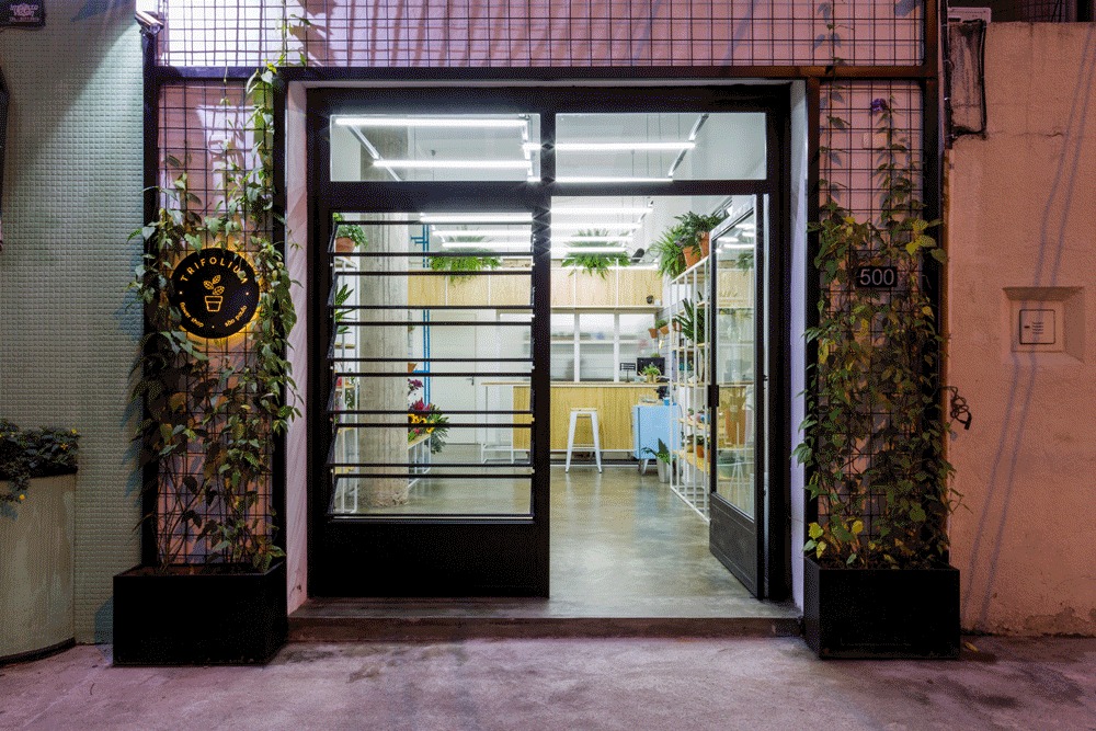 Night view of the shop entrance with climbing plants on wire grid panels, a lit round sign and glowing interior