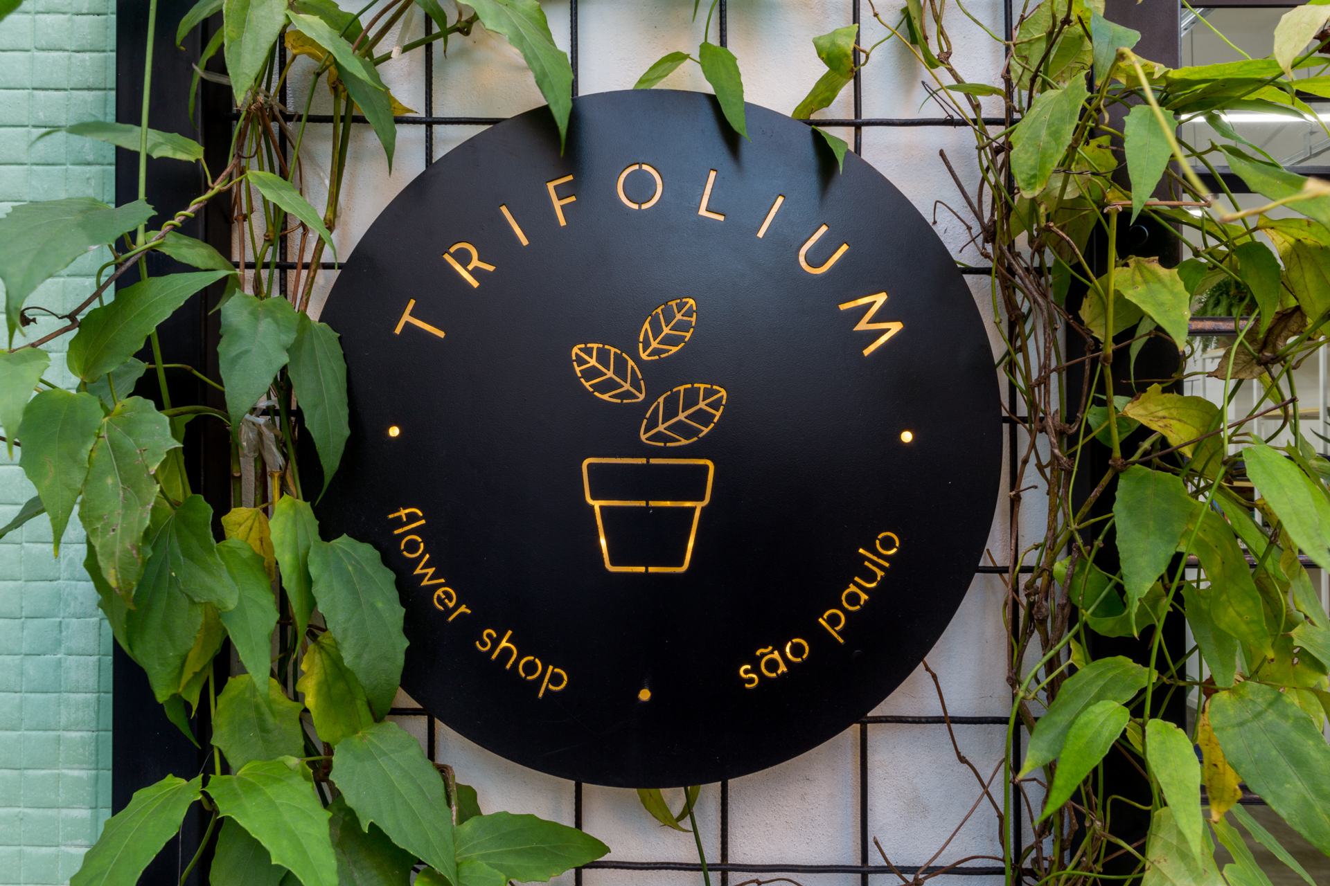 Round black shop sign with backlit gold lettering and a potted plant icon, framed by climbing vines on a wire grid