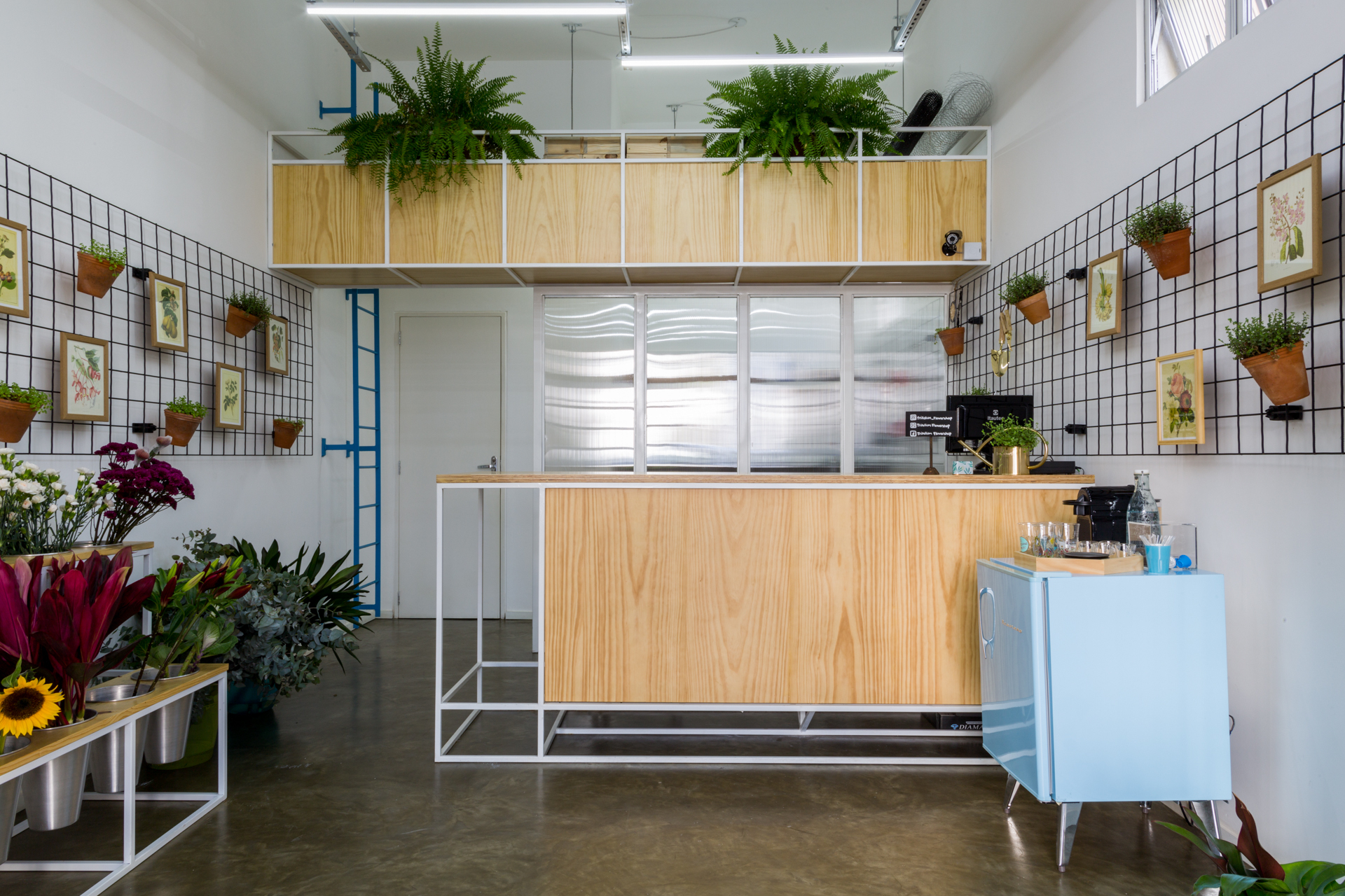 Plywood service counter and mezzanine planter box with ferns, flanked by wire grid walls holding terracotta pots and framed botanical prints