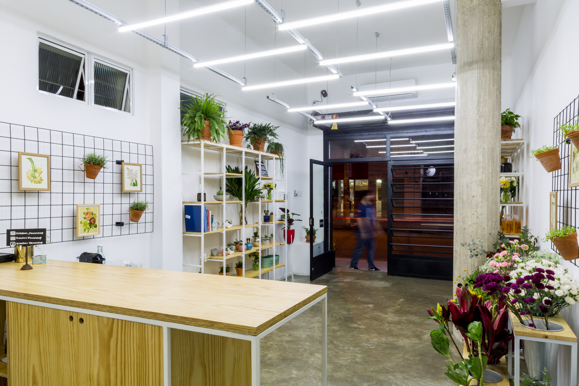 Shop interior with plywood counter, shelving of potted plants and a blurred passerby at the glazed entrance under rows of linear lights