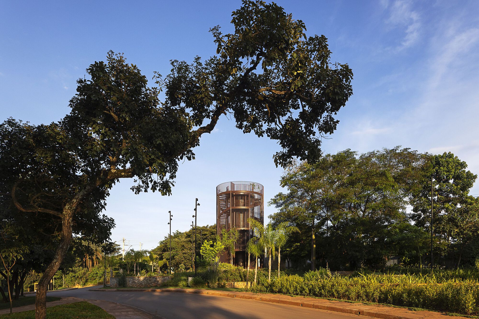 Cylindrical timber lookout tower with a spiral stair seen across a road, framed by a large spreading tree in late sun