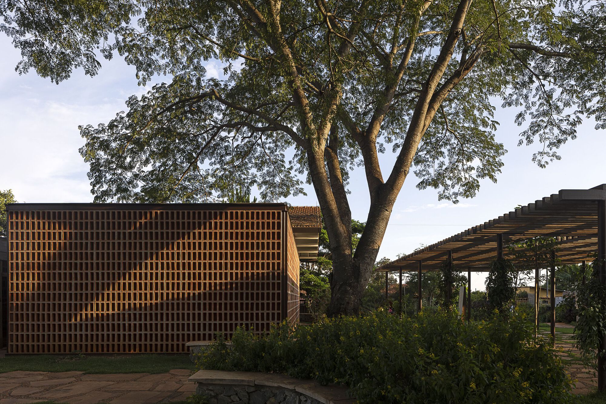 Perforated brick screen wall beside a timber pergola, with a tall tree casting dappled shade over a stone-edged planting bed