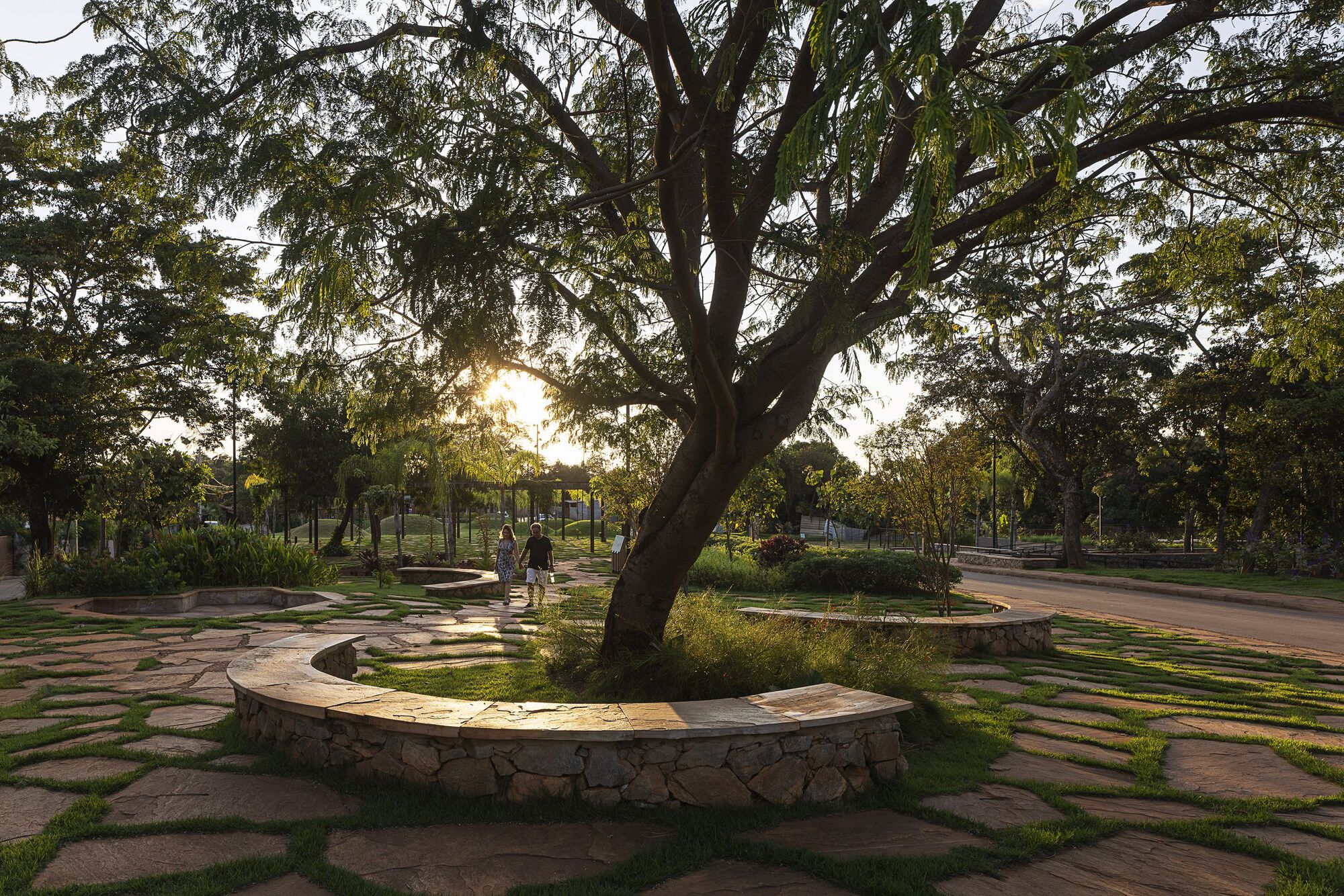 Curved stone bench wrapping a tree trunk in a paved plaza with grass joints, as two people walk toward the setting sun