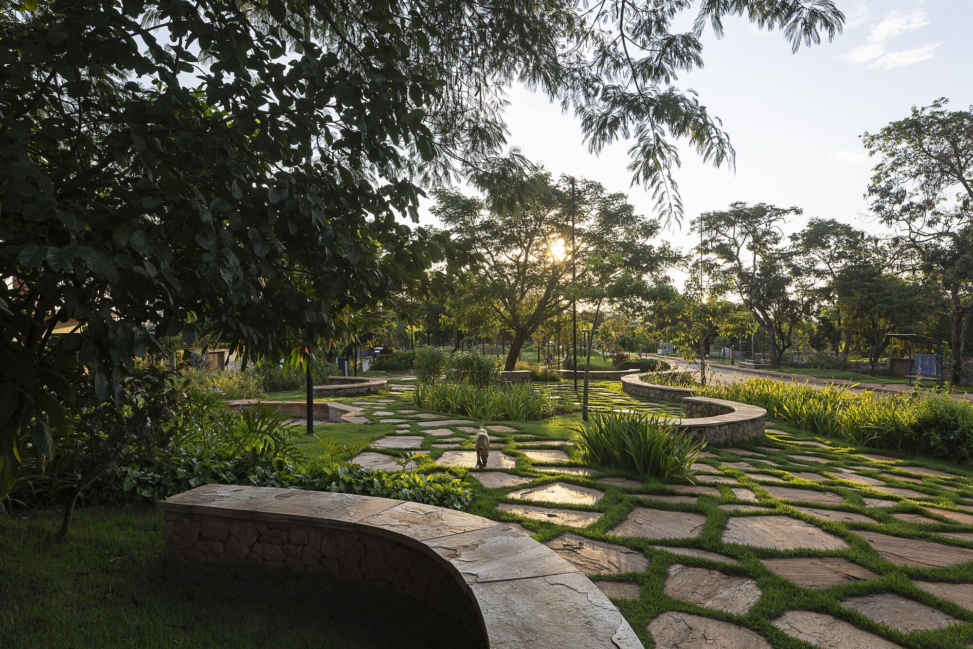 Curved stone benches and irregular flagstone paving set in grass, with a dog walking through low sun filtering through trees