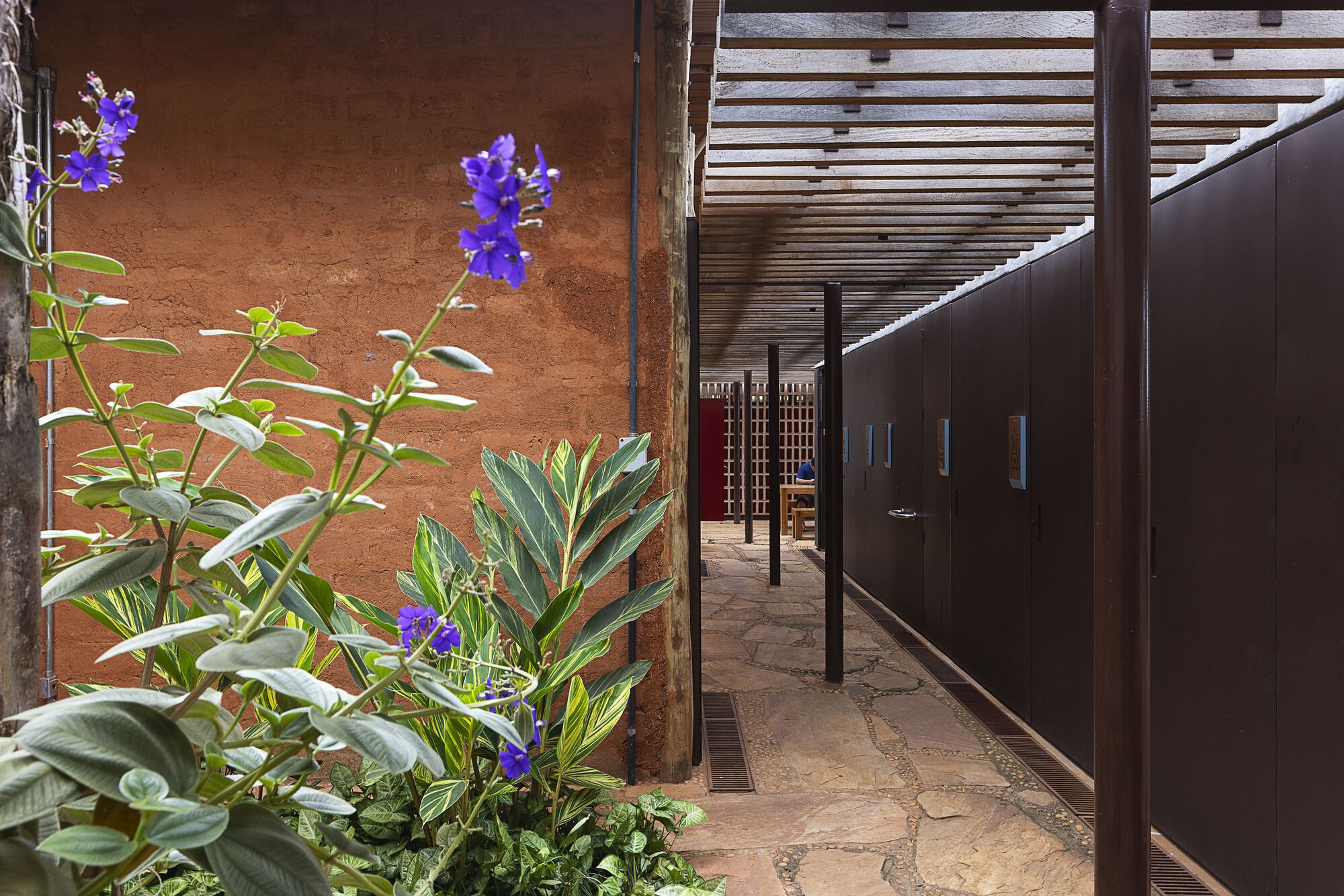 Narrow passage between a rammed earth wall and a dark steel-clad wall, with purple flowering plants in the foreground