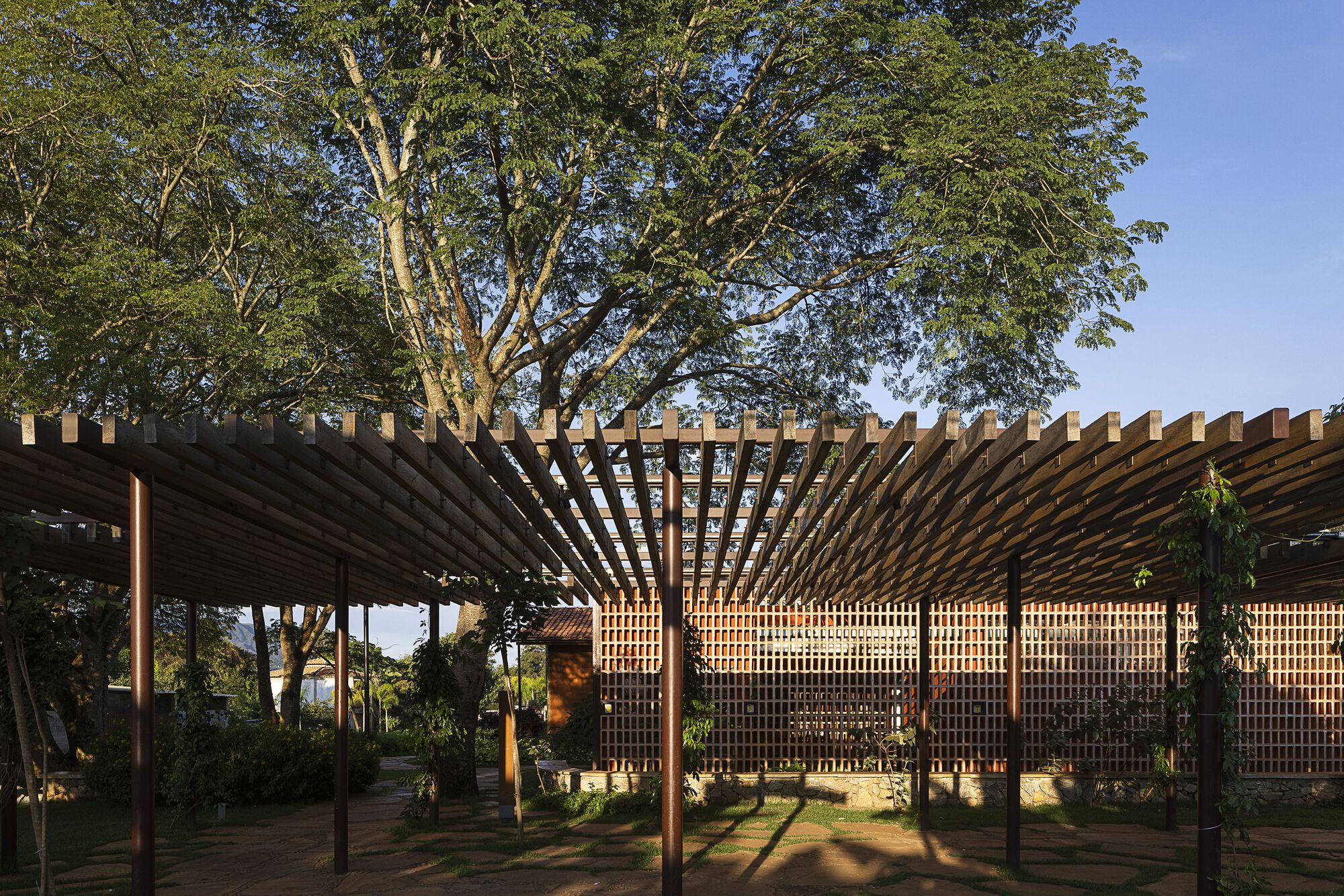 Timber pergola on slim steel posts extending toward a perforated brick facade, framed by a large tree in late sunlight