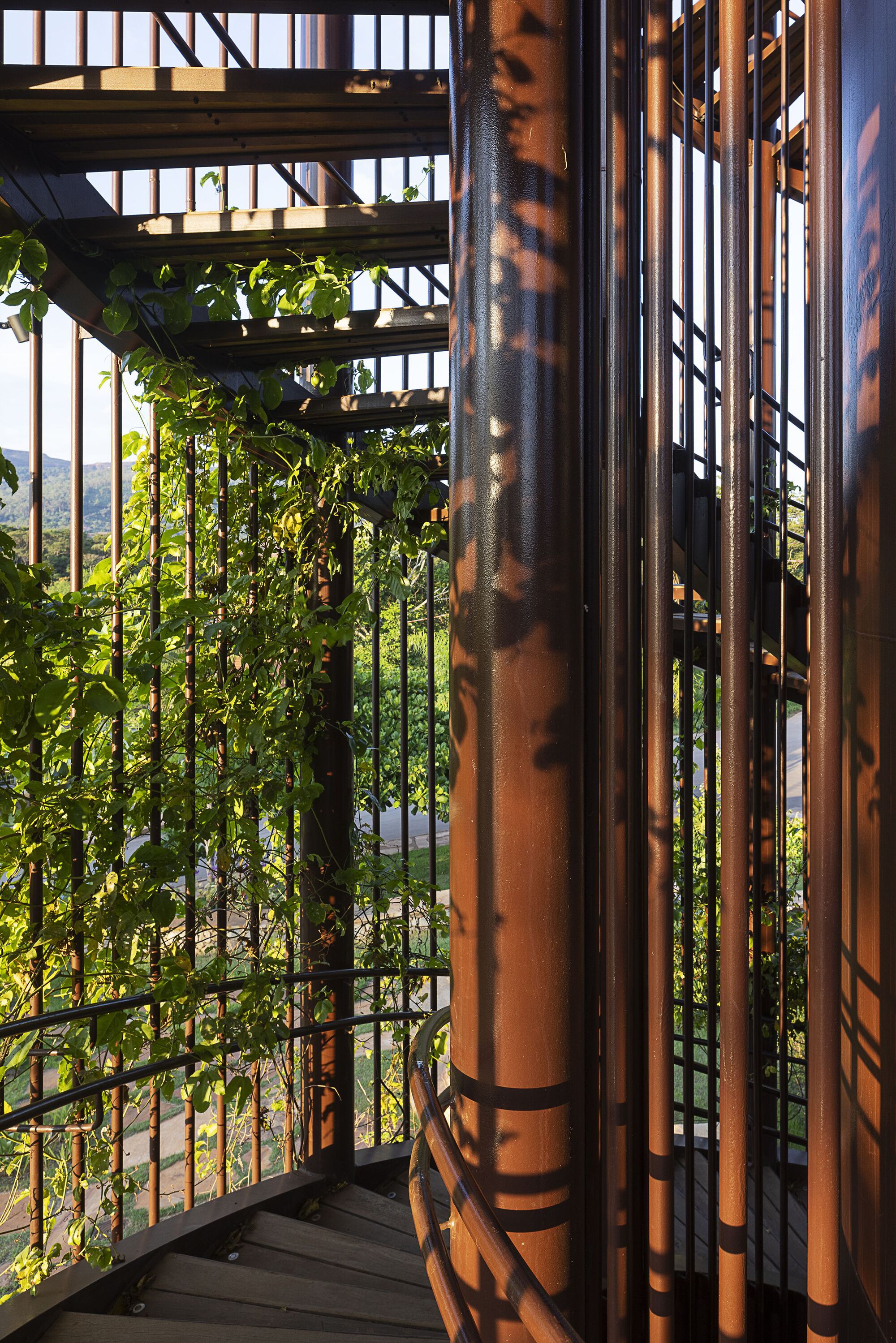 Spiral stair of rust-toned steel posts and vertical slats with climbing vines, dappled by evening sunlight