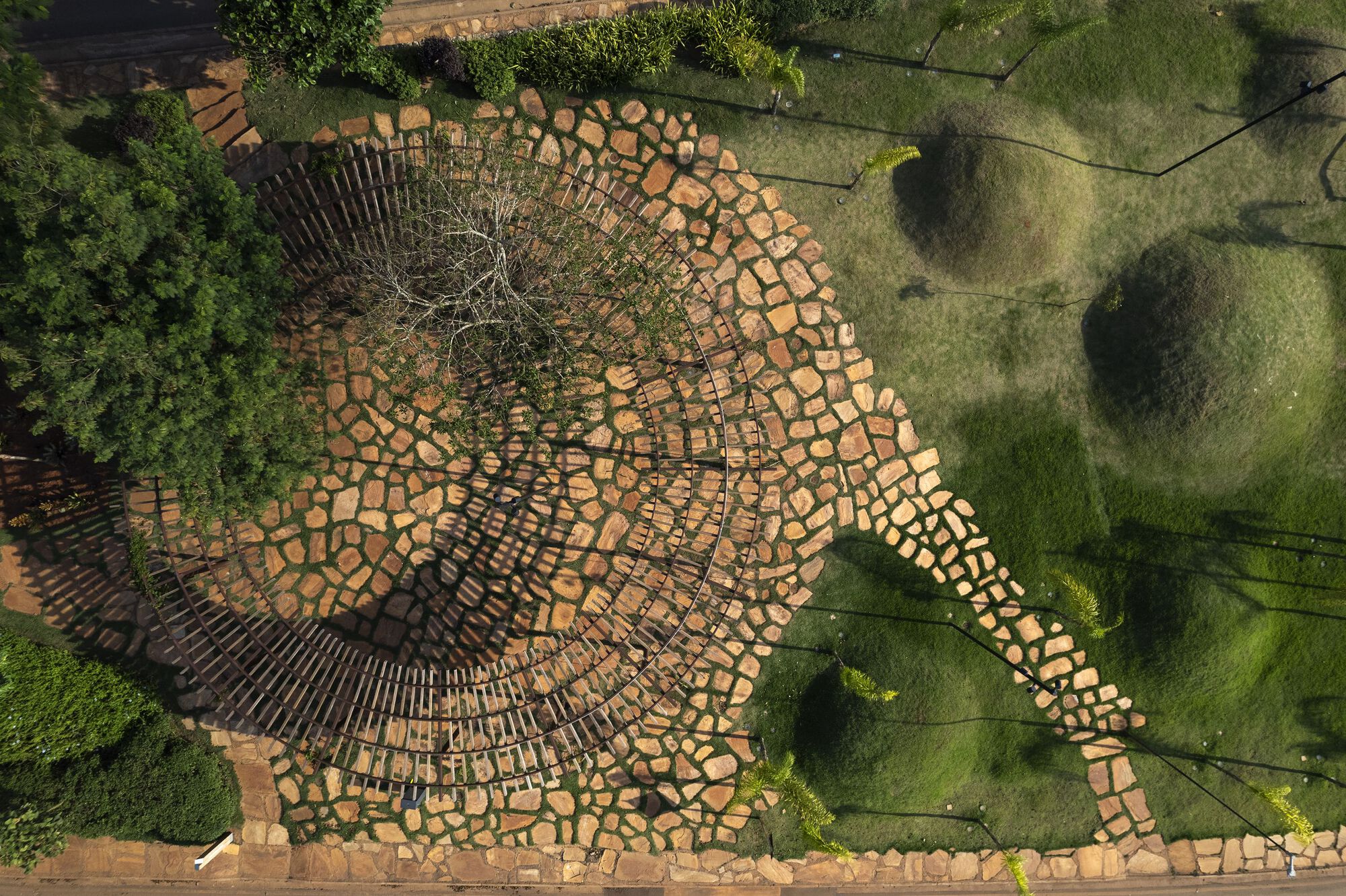 Top-down view of the circular stone paving and slatted ring around a bare tree, with grass mounds casting long shadows