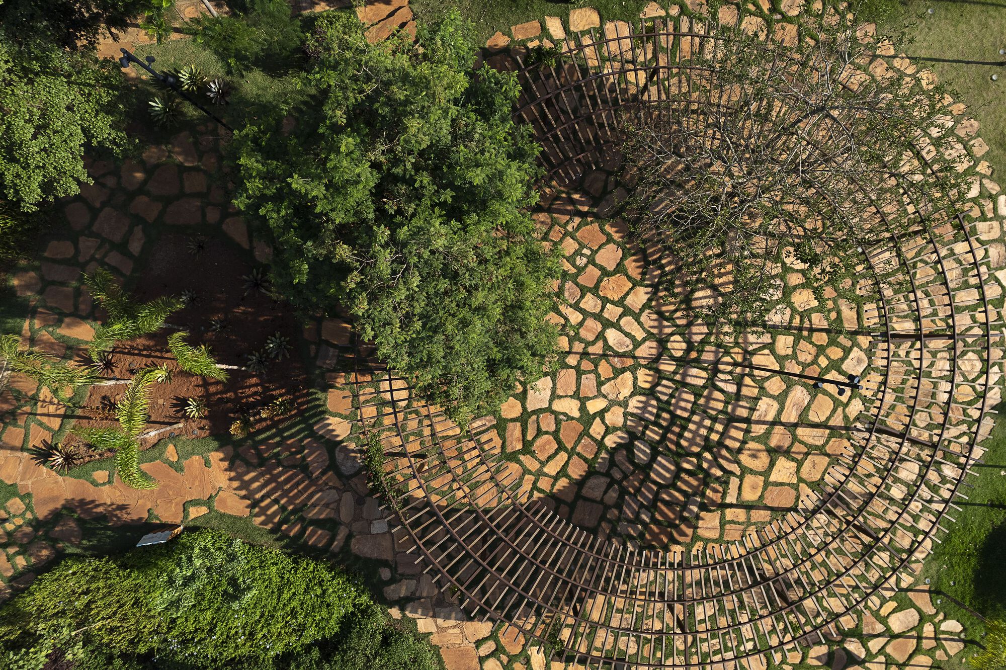 Overhead close-up of concentric timber slats over irregular stone paving, with tree shadows falling across the pattern in raking light
