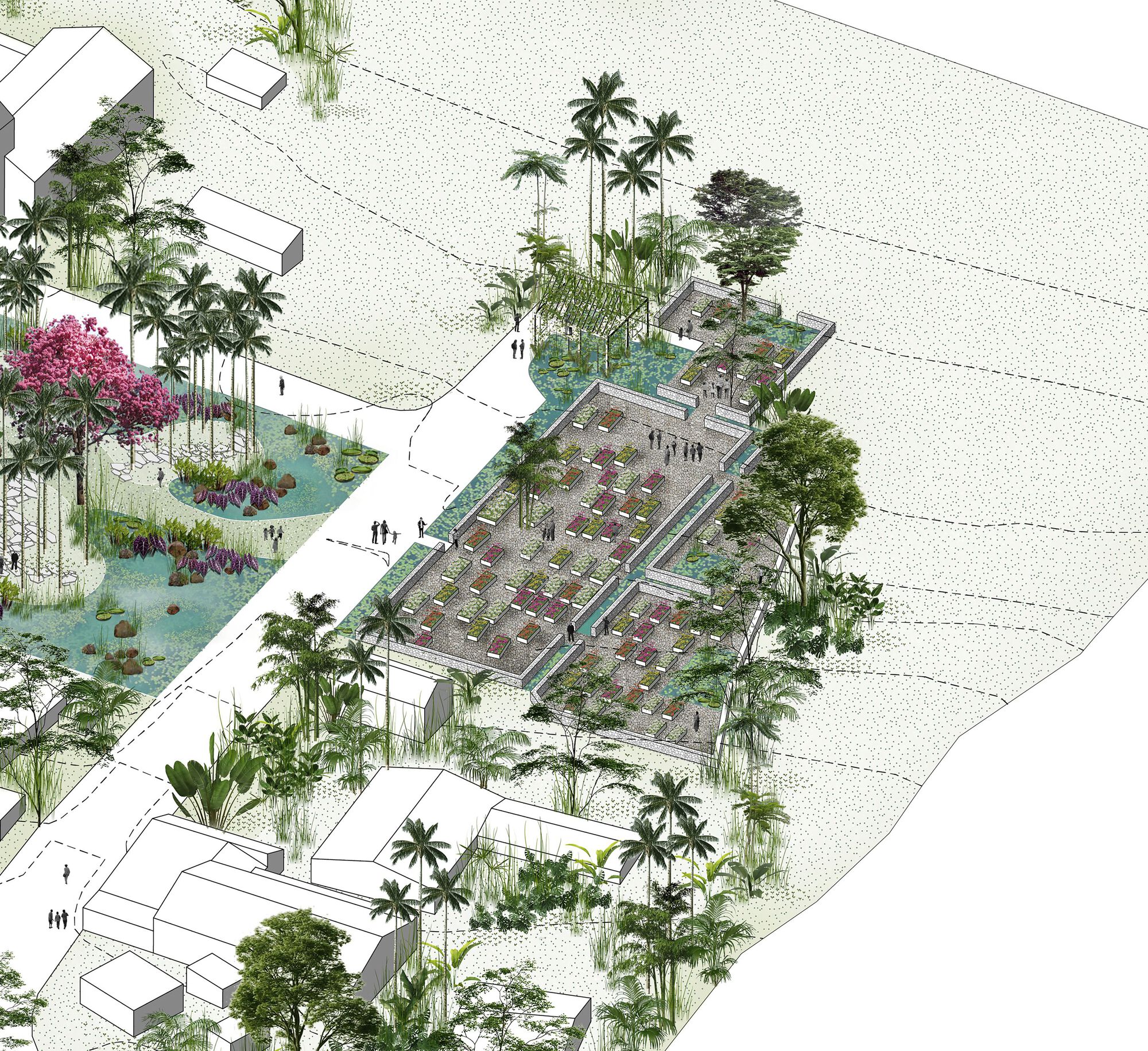 Axonometric drawing of a walled garden terrace with raised beds beside a pond park, palms and a flowering pink tree