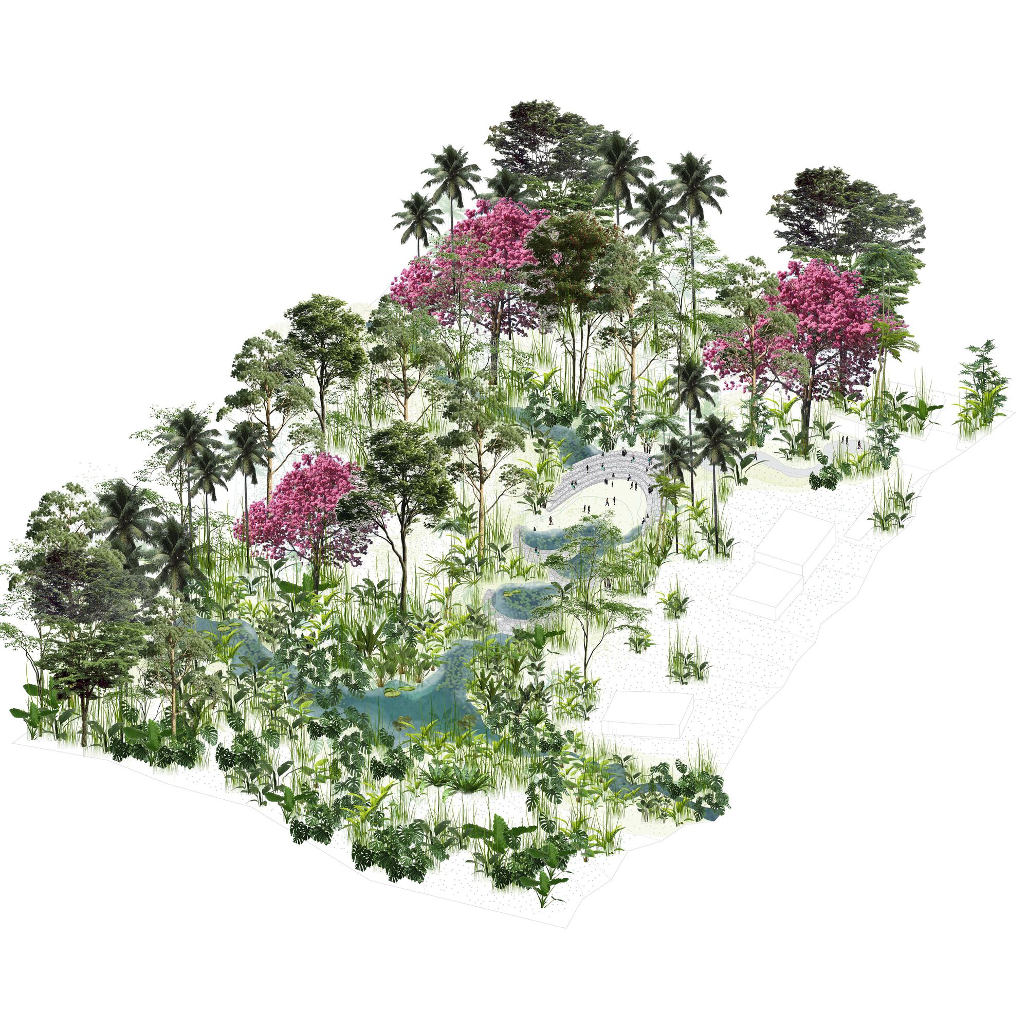 Axonometric drawing of a wooded garden with pink flowering trees, palms, winding water channels and a small arched bridge with figures