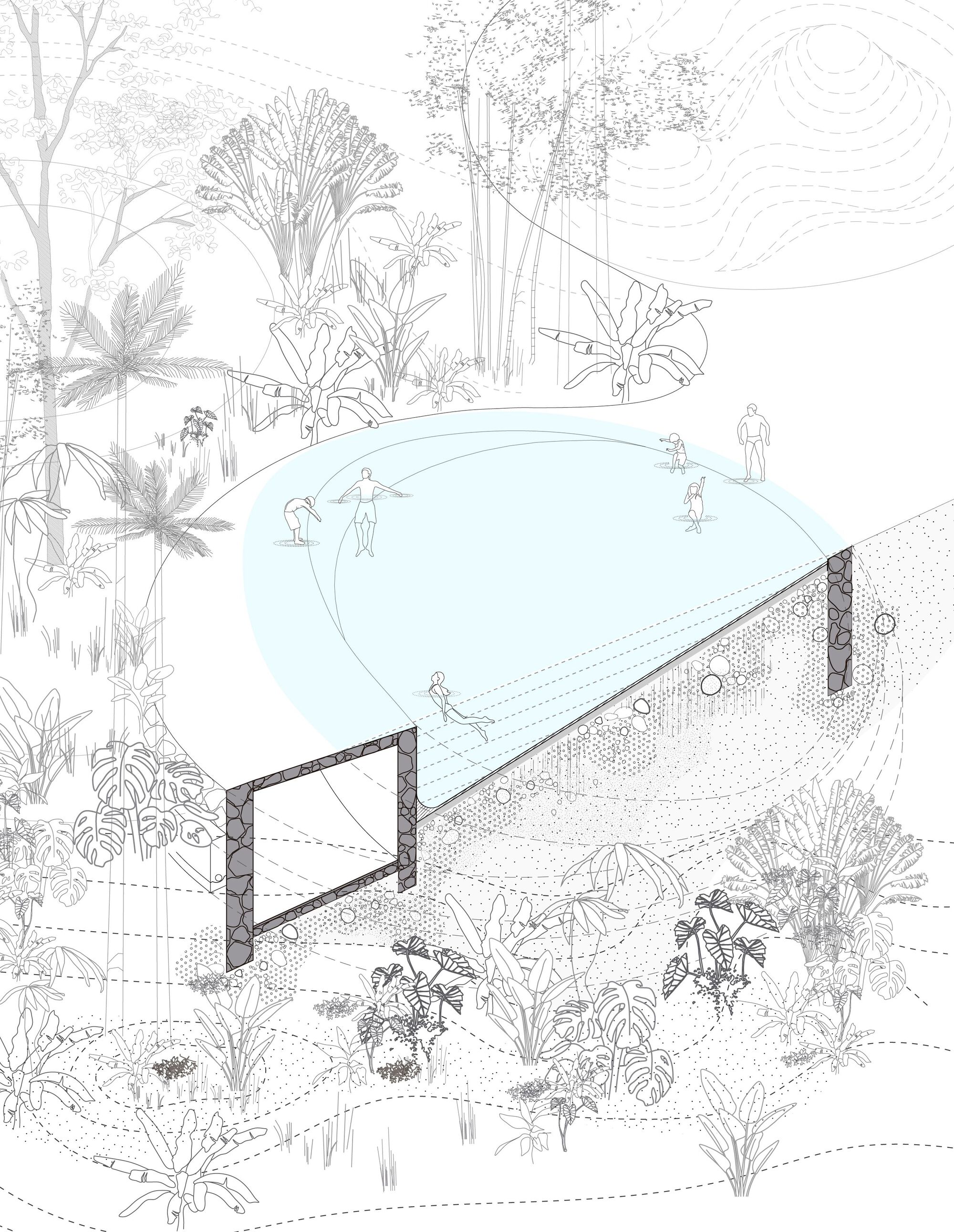 Axonometric drawing of a pool with stone-framed edges, swimmers in the water and surrounding tropical planting with dashed contour lines