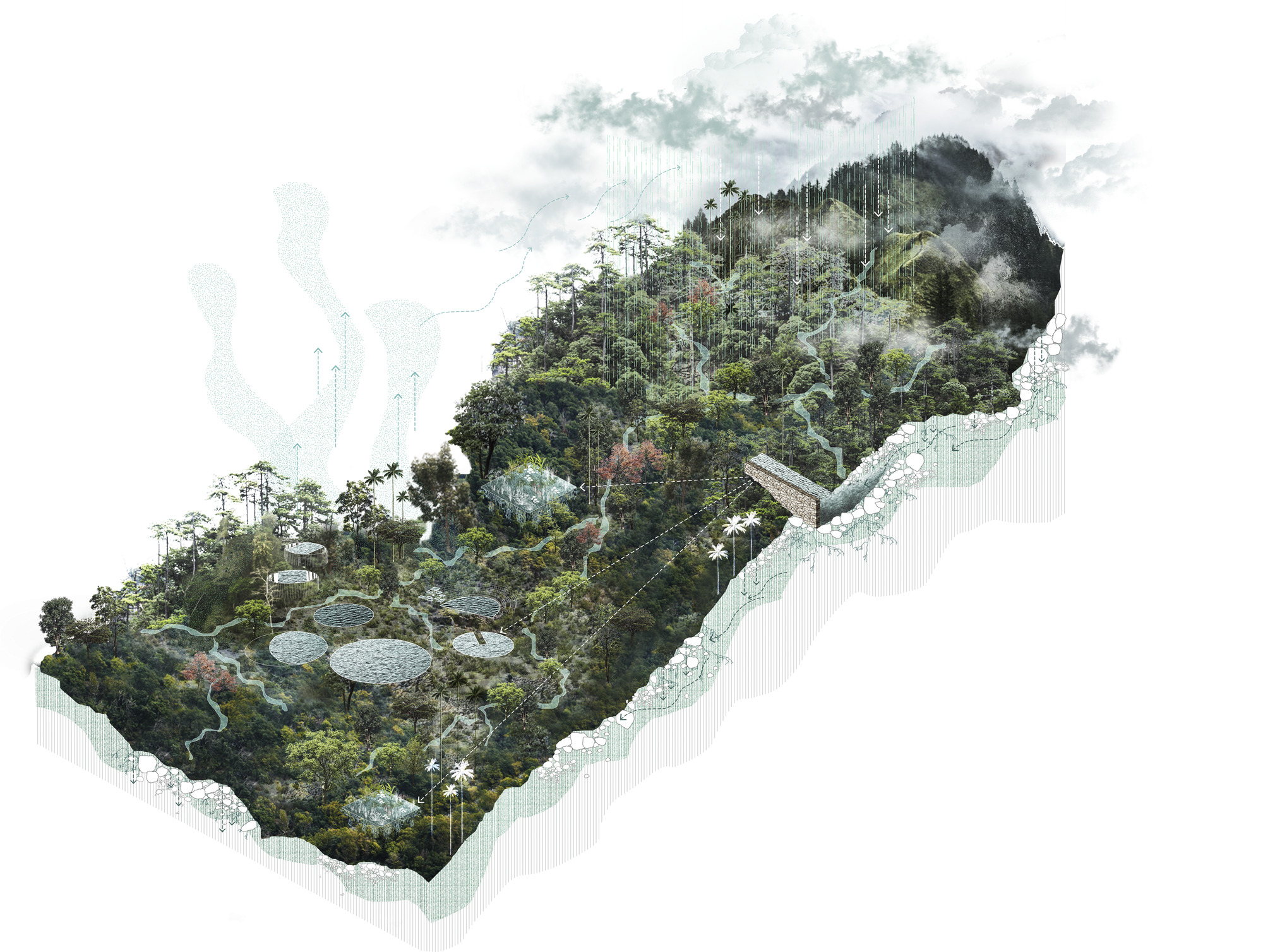 Aerial collage of a forested mountain slope with circular pavilions, winding paths and low cloud drifting over the ridge