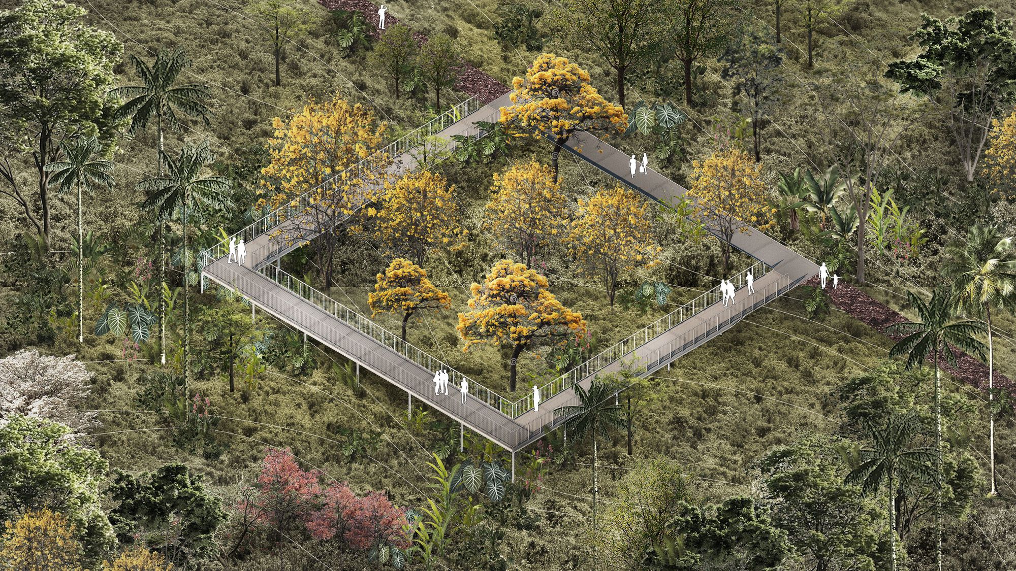 Aerial view of a rectangular elevated boardwalk with railings enclosing yellow-flowering trees, with small figures walking through the hillside forest