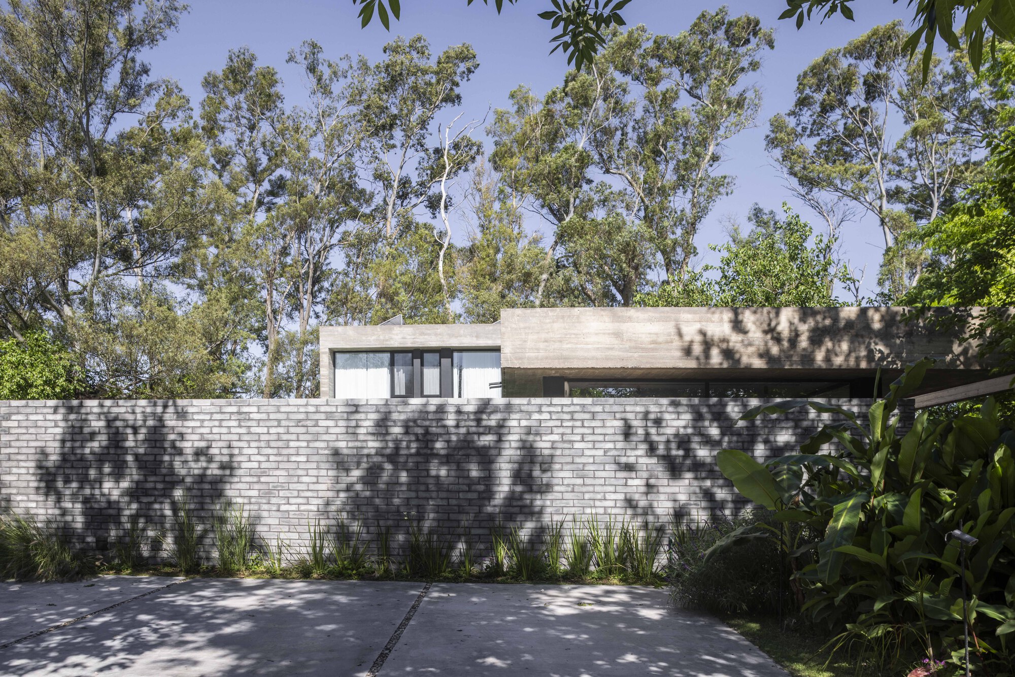 Grey brick boundary wall with leaf shadows cast across it, and a concrete upper volume rising behind under eucalyptus trees
