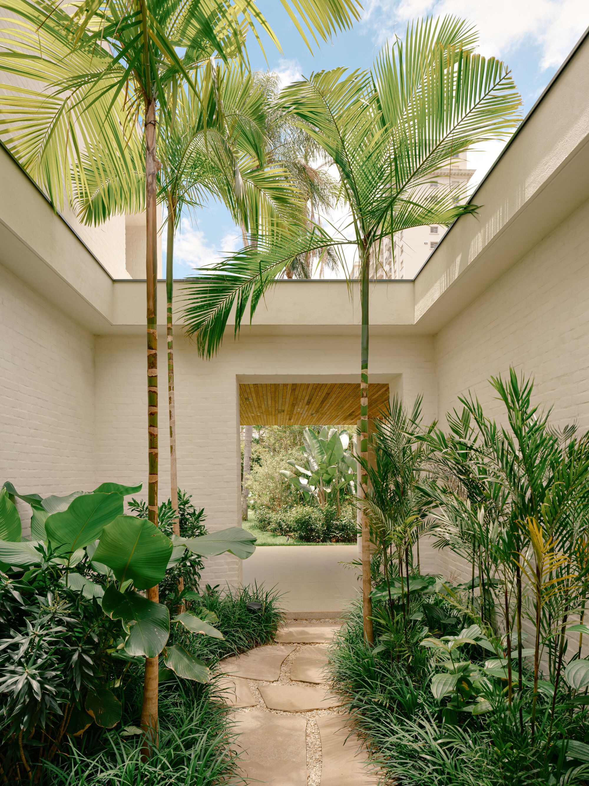 Open-roof courtyard of white brick walls with tall palms, broad-leaf plants and a stone path leading to a doorway