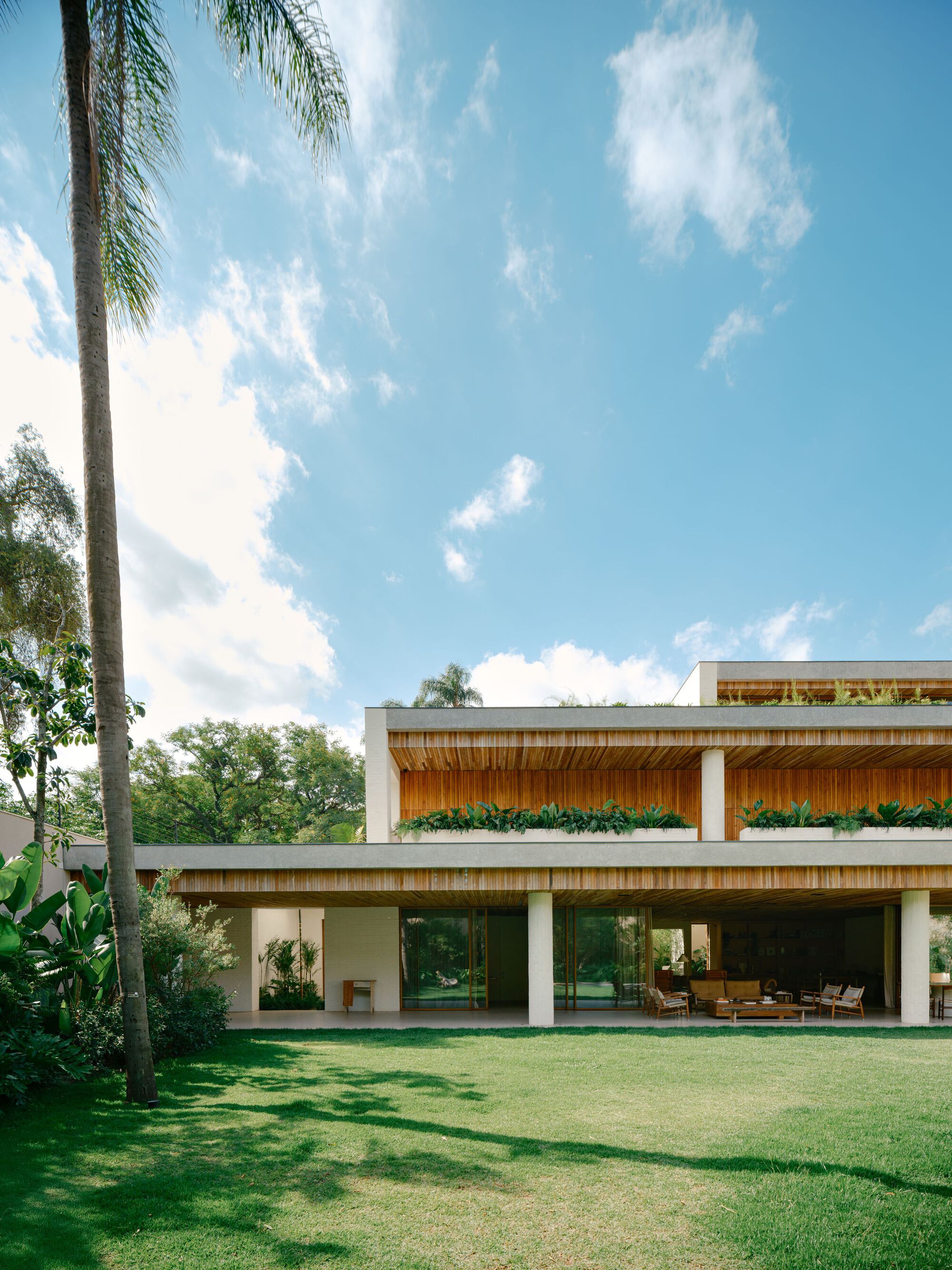 Tall palm beside the two-storey facade with white columns, cedar slat ceilings and planted ledges above a sunlit lawn