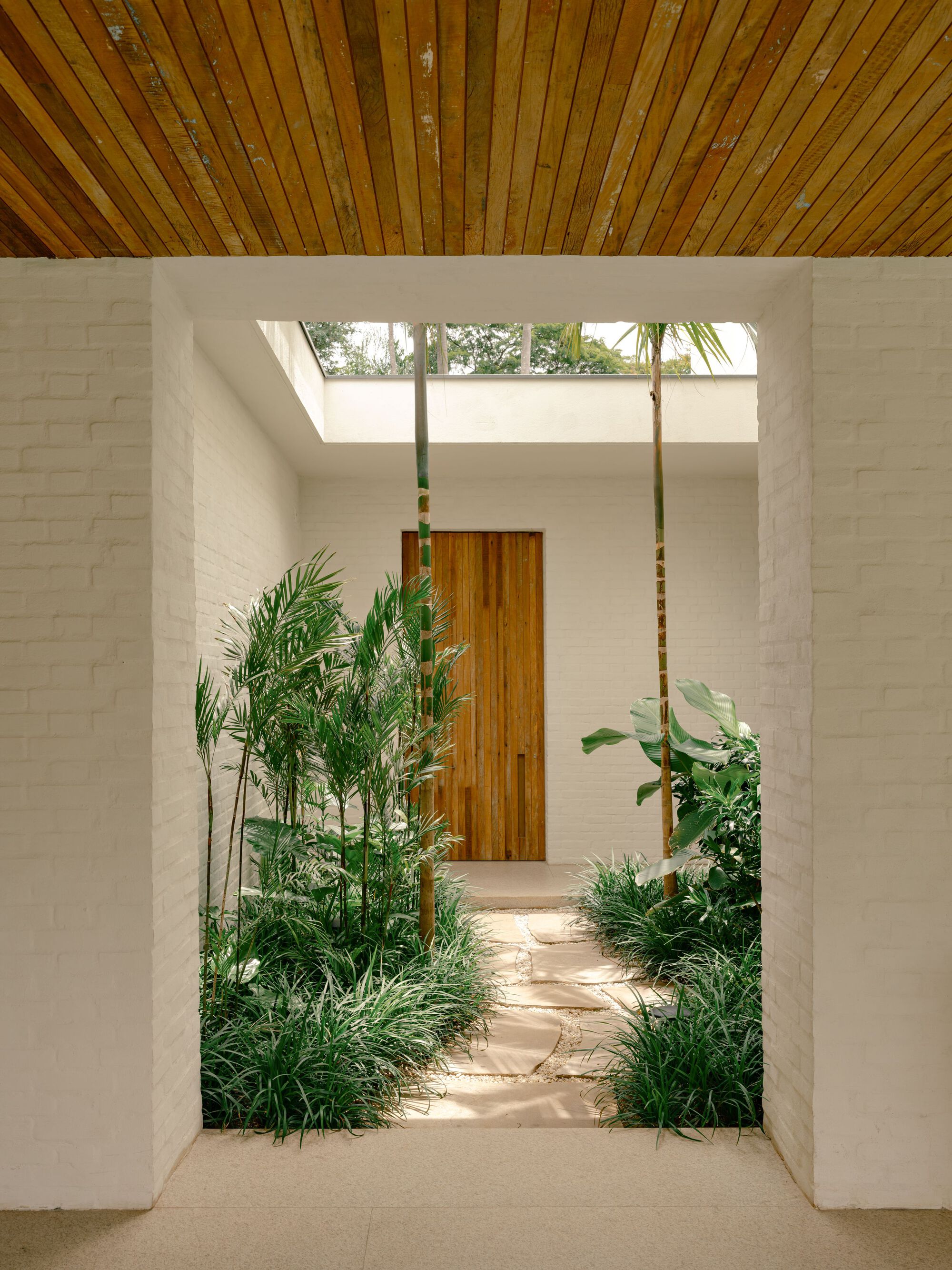 White brick entry opening onto a stepping-stone path through palms and grasses toward a timber door beneath a skylight