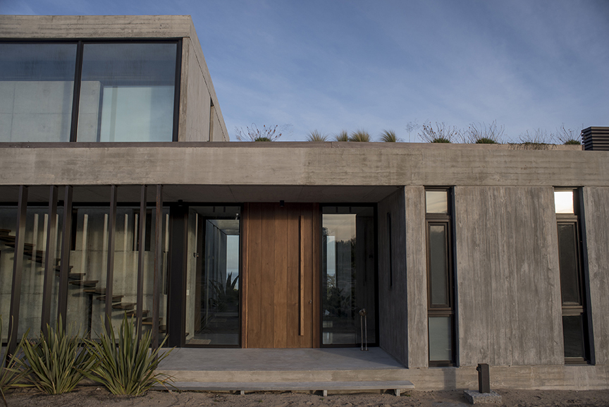 Entrance porch with a tall timber door, board-marked concrete walls and a green roof edge of grasses at dusk