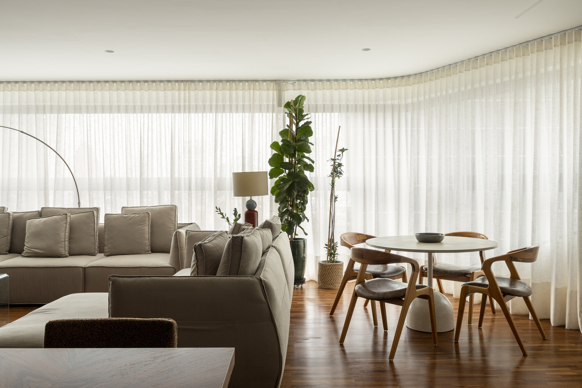 Sofa, round dining table and wooden chairs in front of floor-to-ceiling sheer curtains diffusing bright daylight, with a tall potted fig