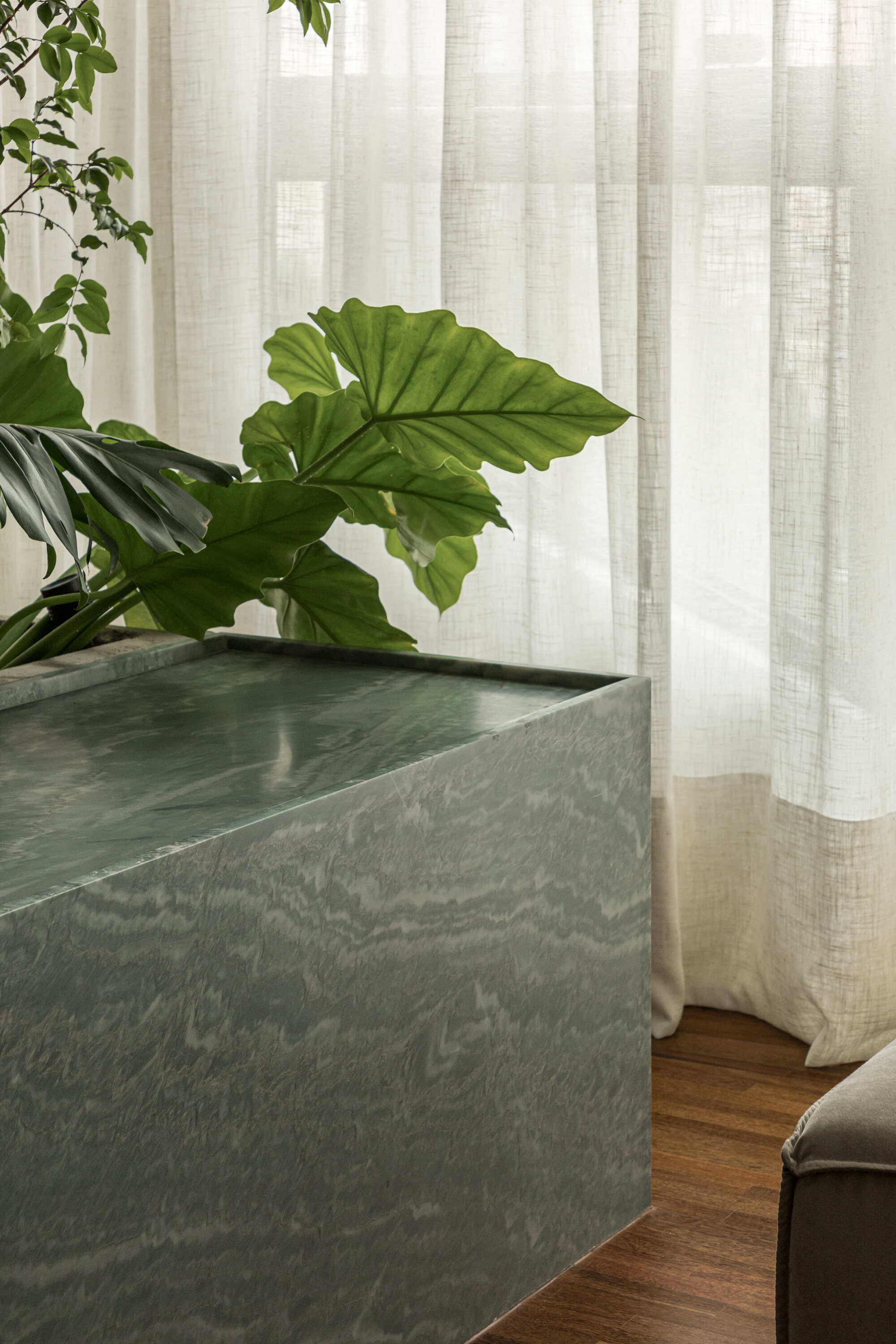 Green veined stone block planter holding a large-leaved plant beside a sheer linen curtain and timber floor
