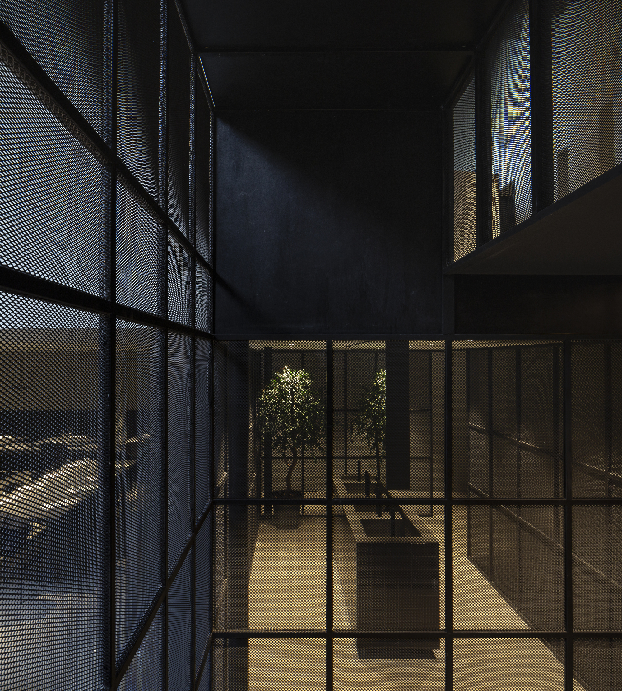 View through black expanded metal mesh panels to a concrete trough sink and potted olive trees in warm low light