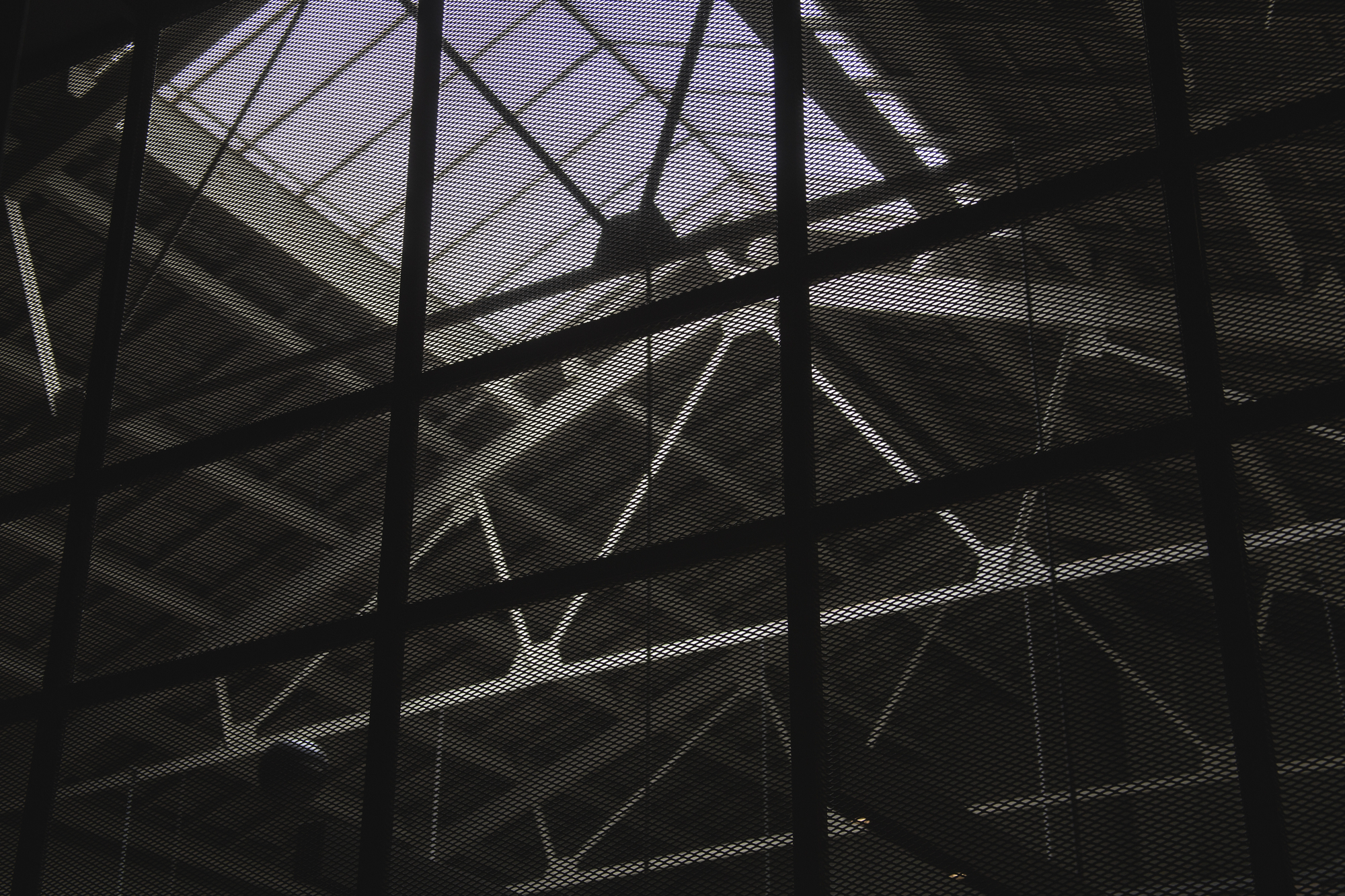 Upward view through metal mesh to steel roof trusses and a skylight glowing pale violet in daylight