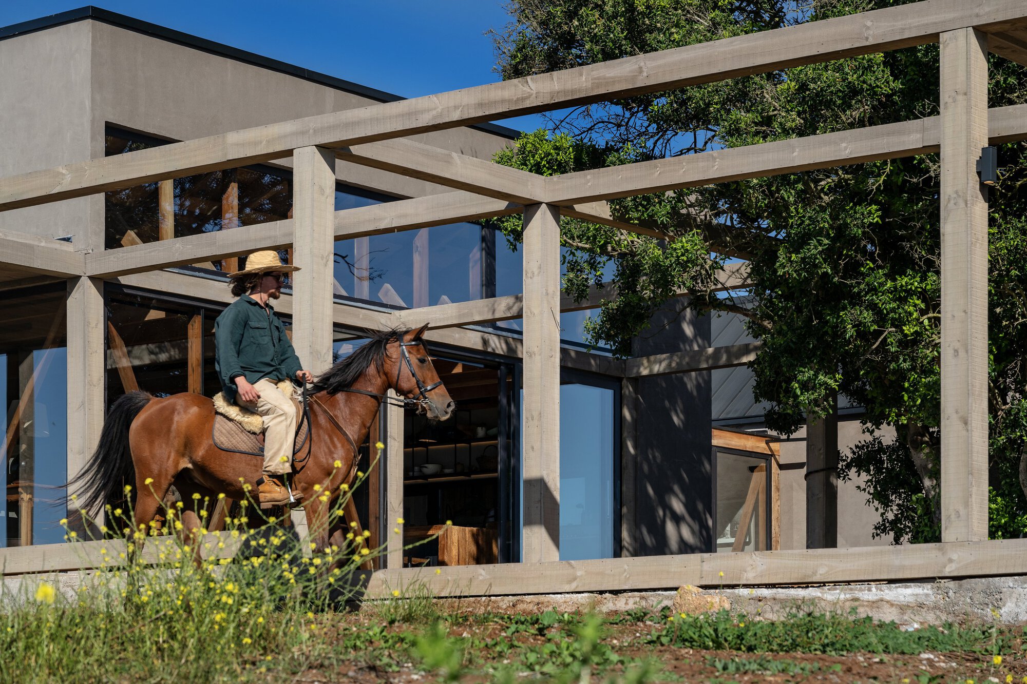 Rider in a straw hat on a brown horse passing a timber pergola frame in front of the glazed facade