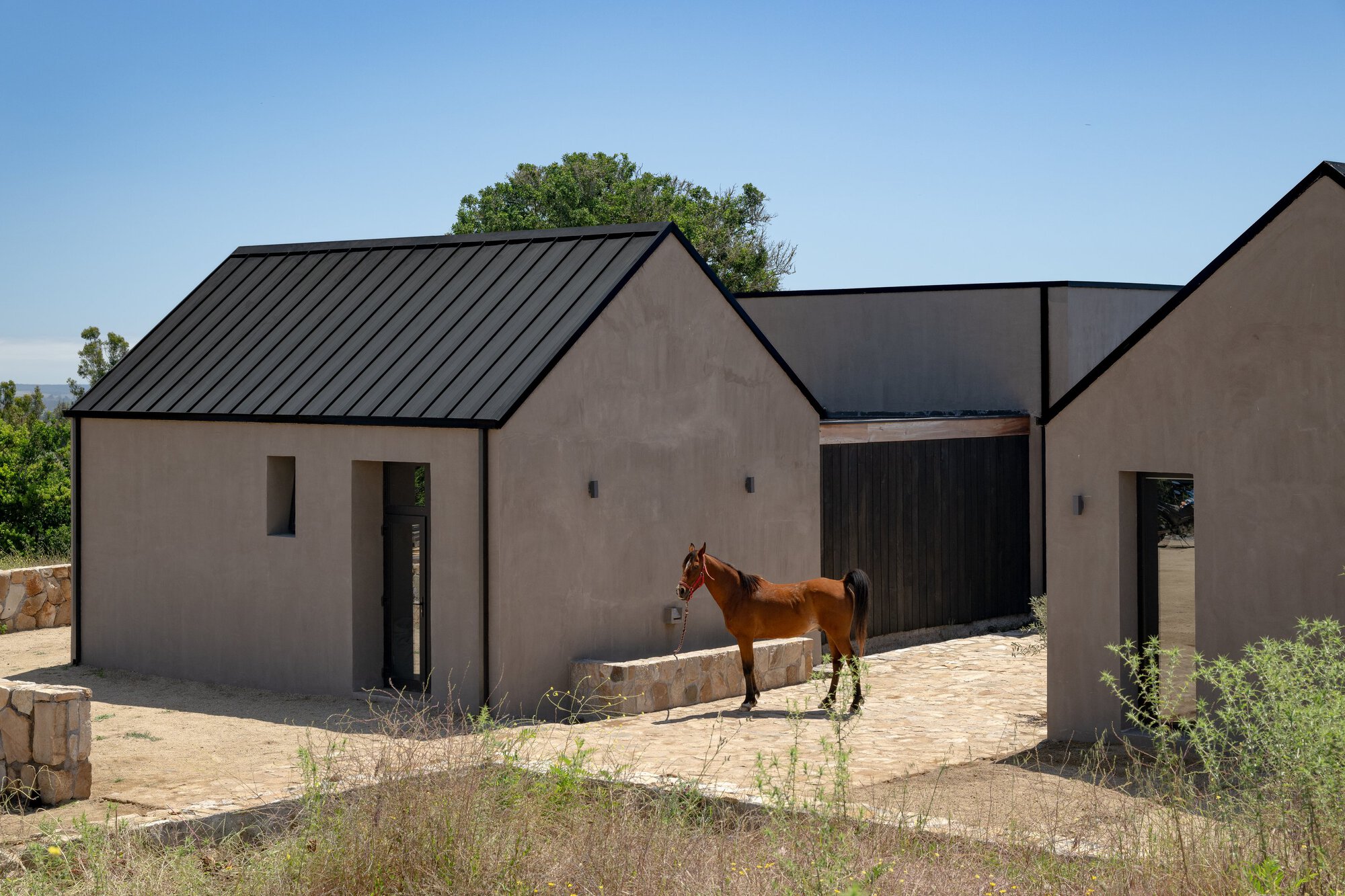 Gabled grey stucco volumes with dark standing-seam metal roofs, a brown horse standing beside a low stone bench in clear sun