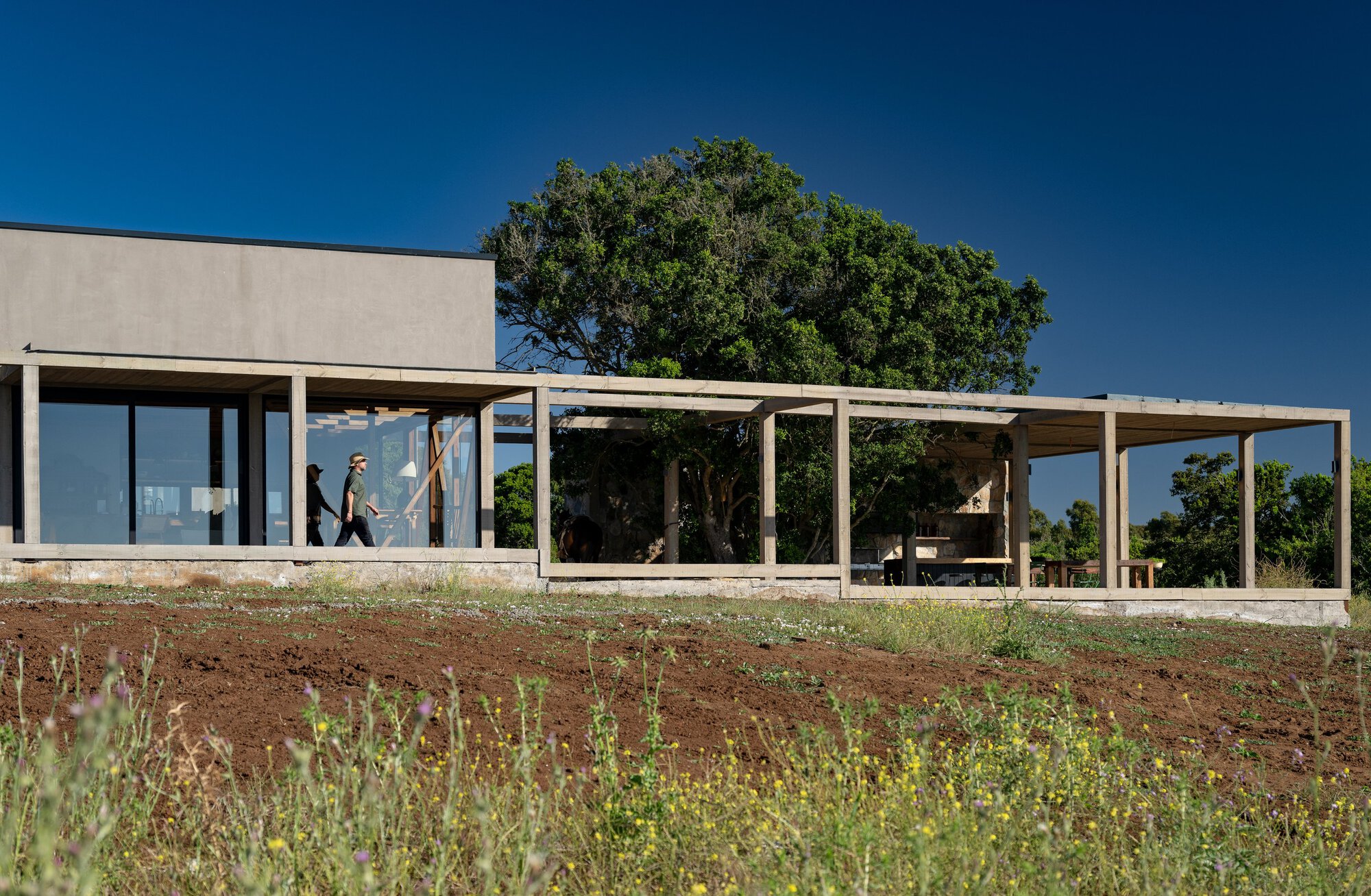 Open timber-framed pavilion with glazed walls and slim columns, two people walking inside beside a large tree and wildflowers in the foreground