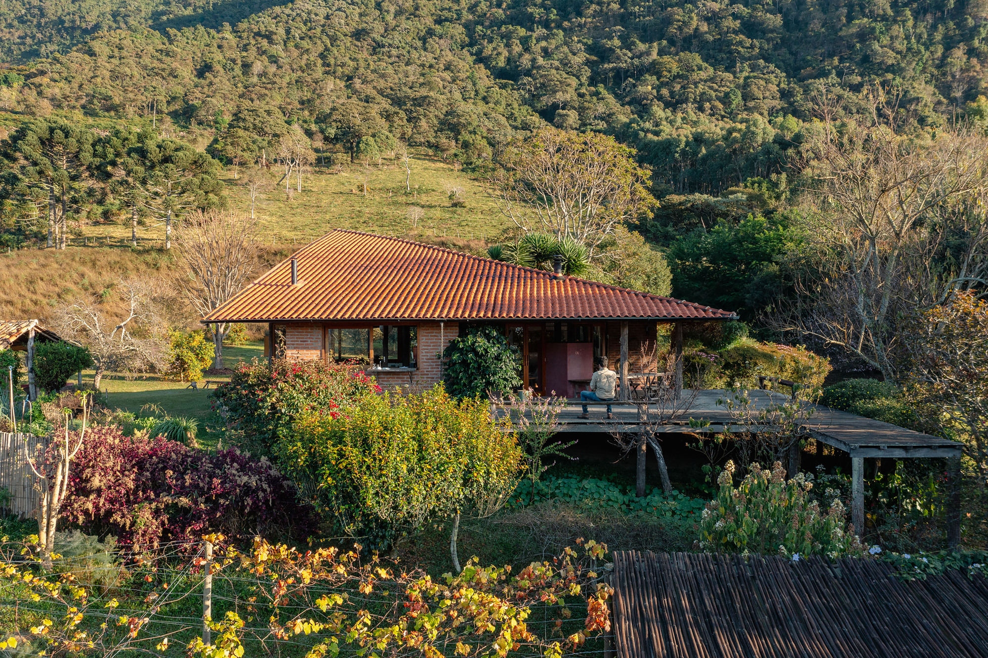 Brick house with terracotta tile roof and timber deck, a person seated on the porch, framed by flowering shrubs in late afternoon sun