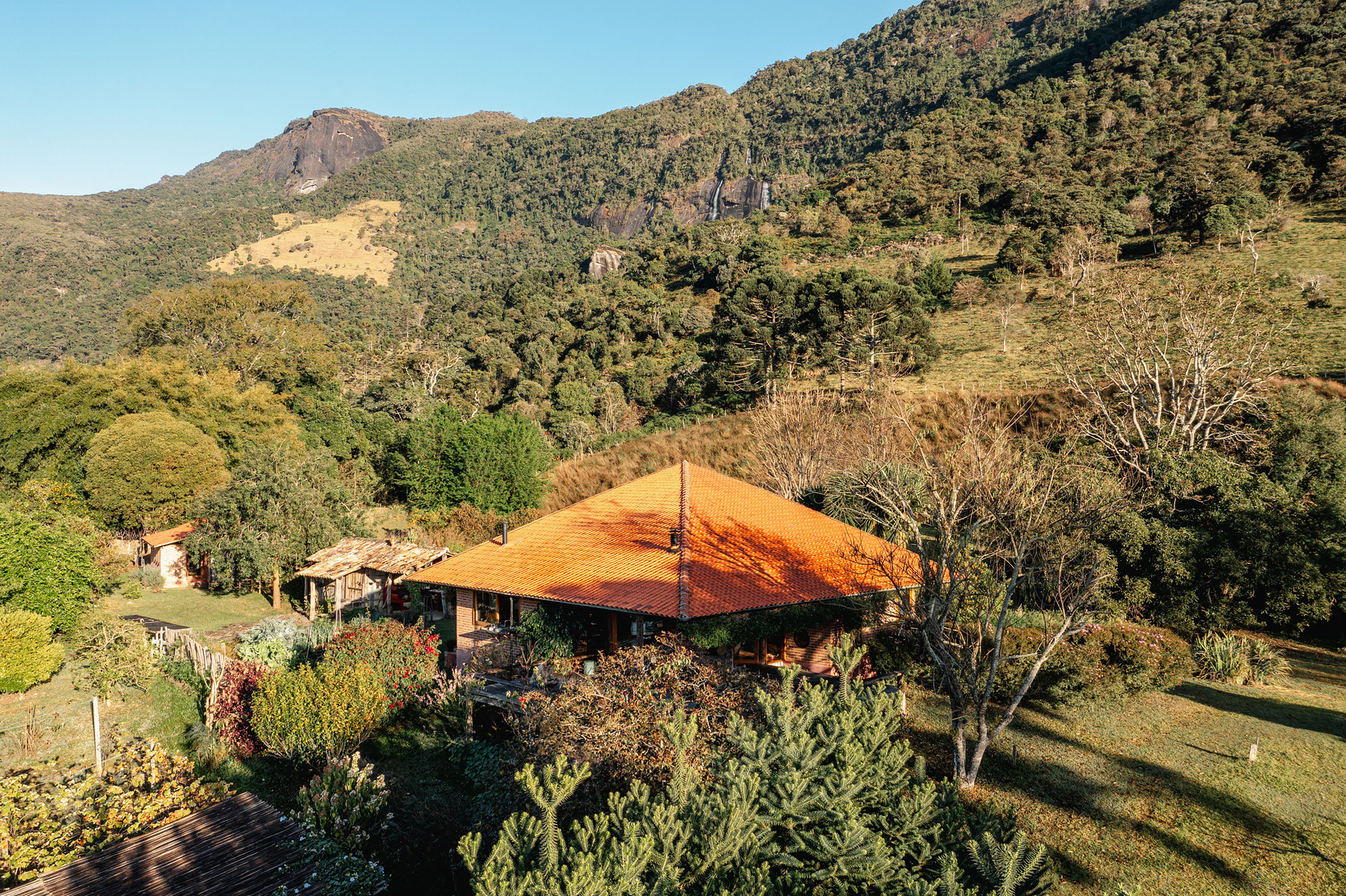 Aerial view of the orange tiled hip roof above a brick house, with araucaria branches in the foreground and low sun on the hillside